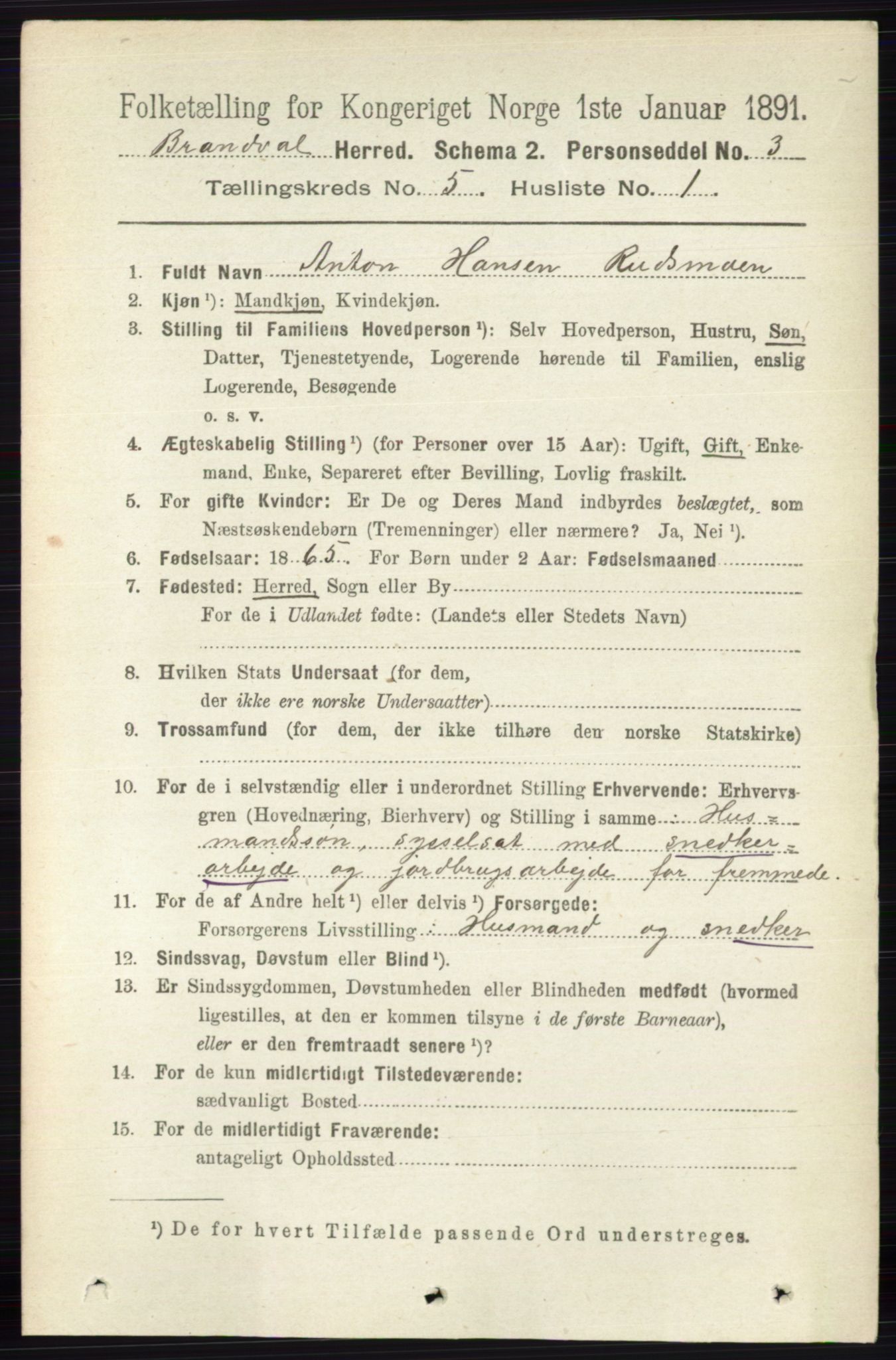 RA, 1891 census for 0422 Brandval, 1891, p. 2203