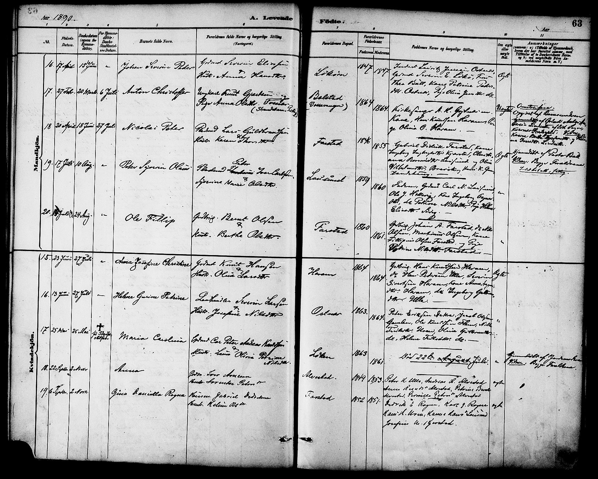 Ministerialprotokoller, klokkerbøker og fødselsregistre - Møre og Romsdal, AV/SAT-A-1454/536/L0501: Parish register (official) no. 536A10, 1884-1896, p. 63