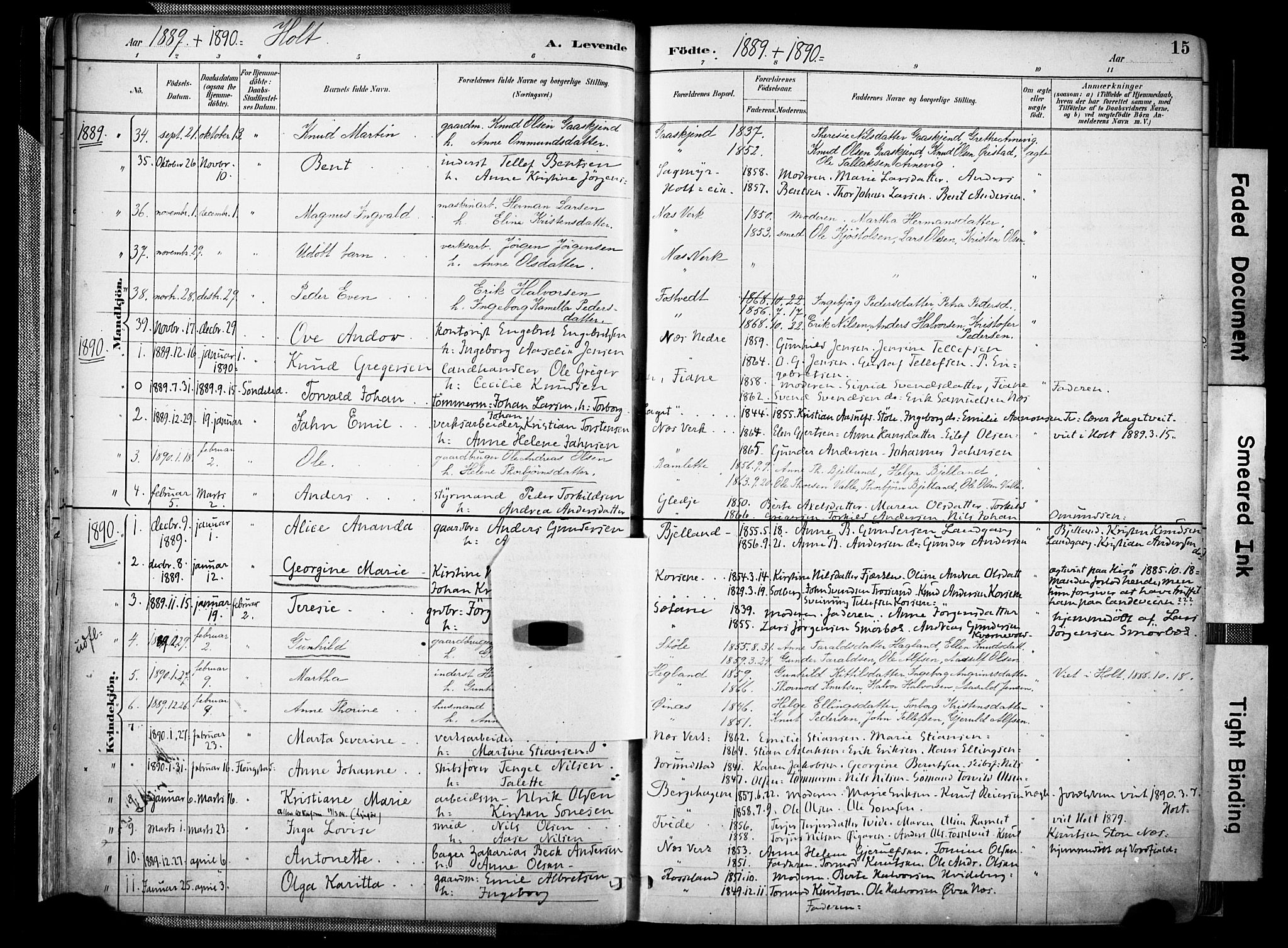 Holt sokneprestkontor, AV/SAK-1111-0021/F/Fa/L0012: Parish register (official) no. A 12, 1885-1907, p. 15