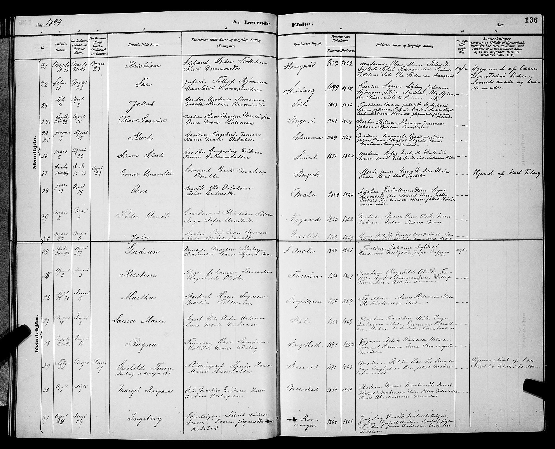 Gjerpen kirkebøker, SAKO/A-265/G/Ga/L0002: Parish register (copy) no. I 2, 1883-1900, p. 136