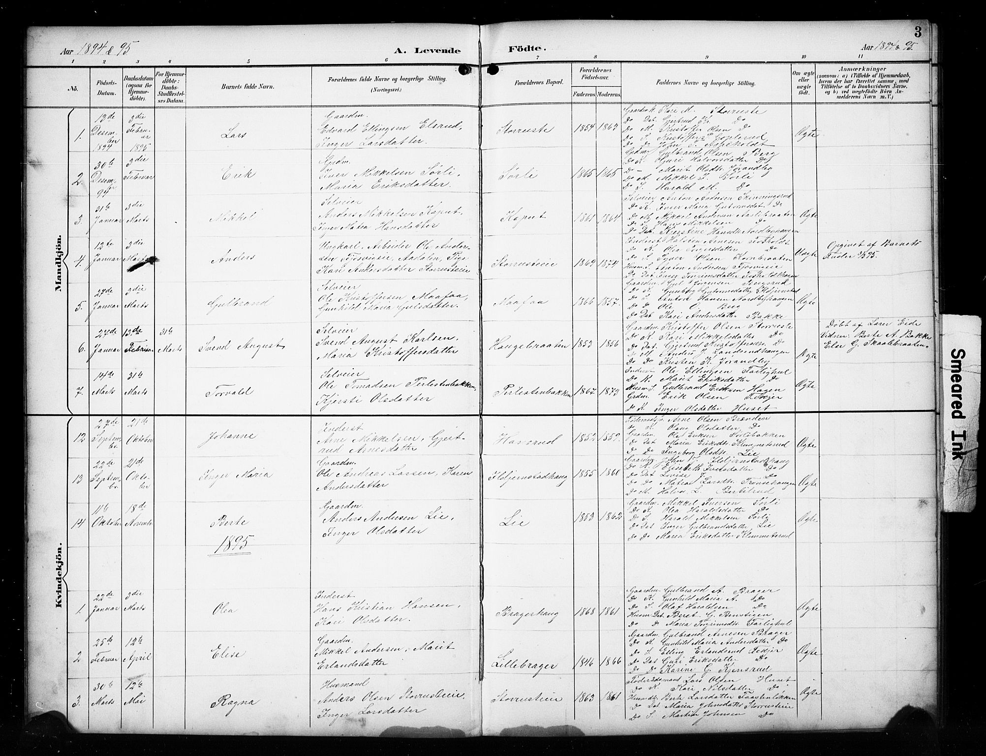 Sør-Aurdal prestekontor, SAH/PREST-128/H/Ha/Hab/L0017: Parish register (copy) no. 17, 1894-1923, p. 3