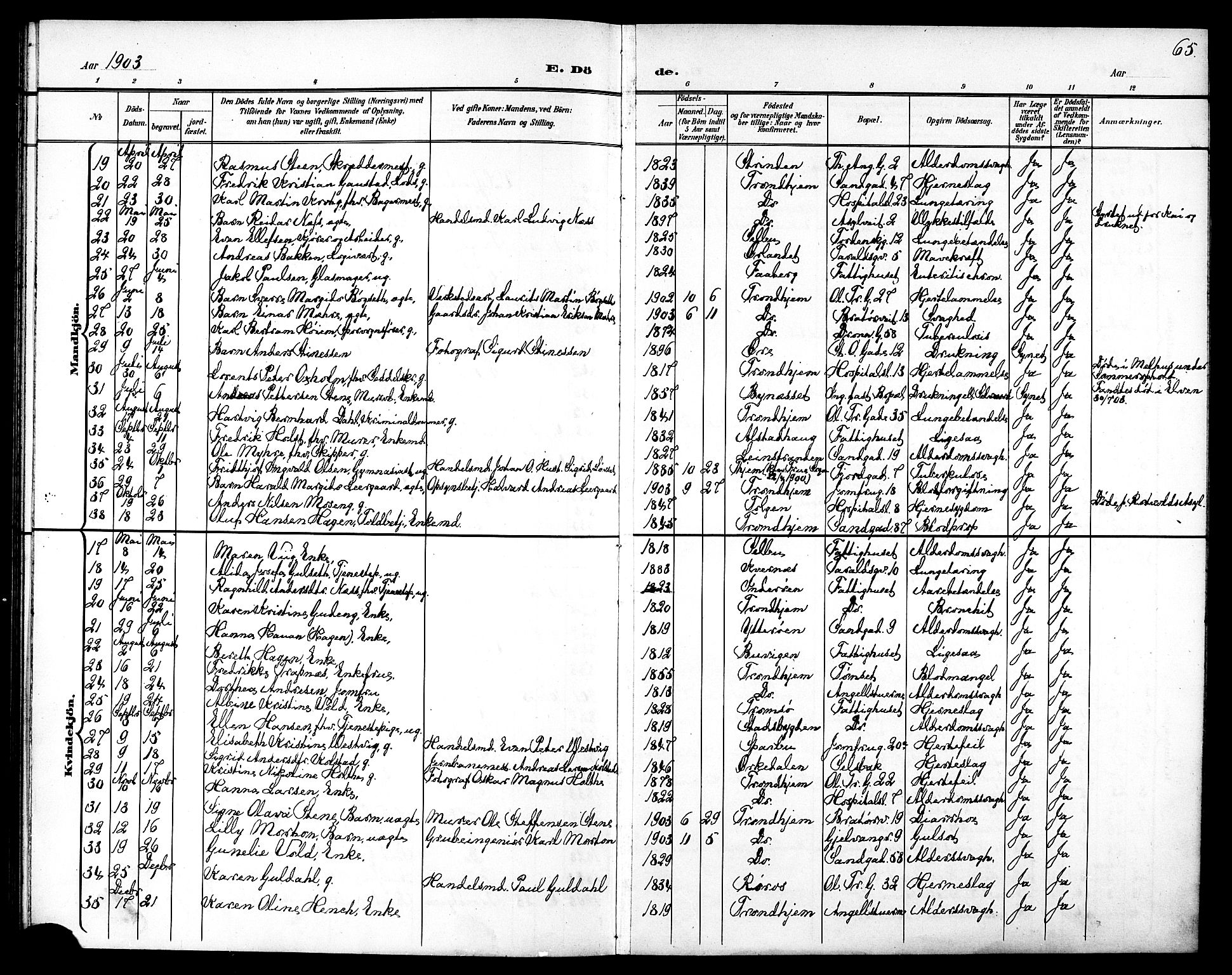 Ministerialprotokoller, klokkerbøker og fødselsregistre - Sør-Trøndelag, SAT/A-1456/602/L0144: Parish register (copy) no. 602C12, 1897-1905, p. 65
