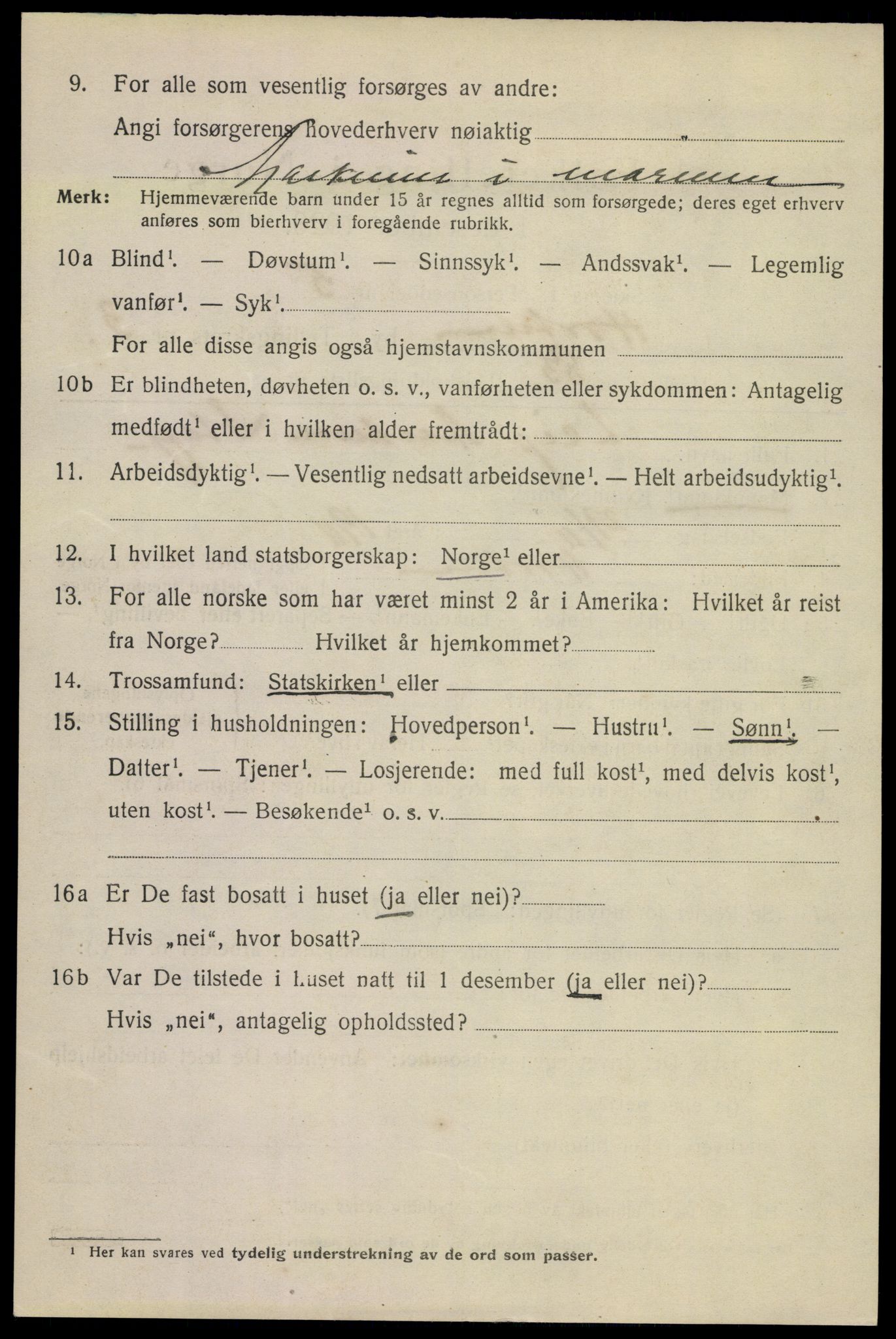 SAKO, 1920 census for Horten, 1920, p. 14616