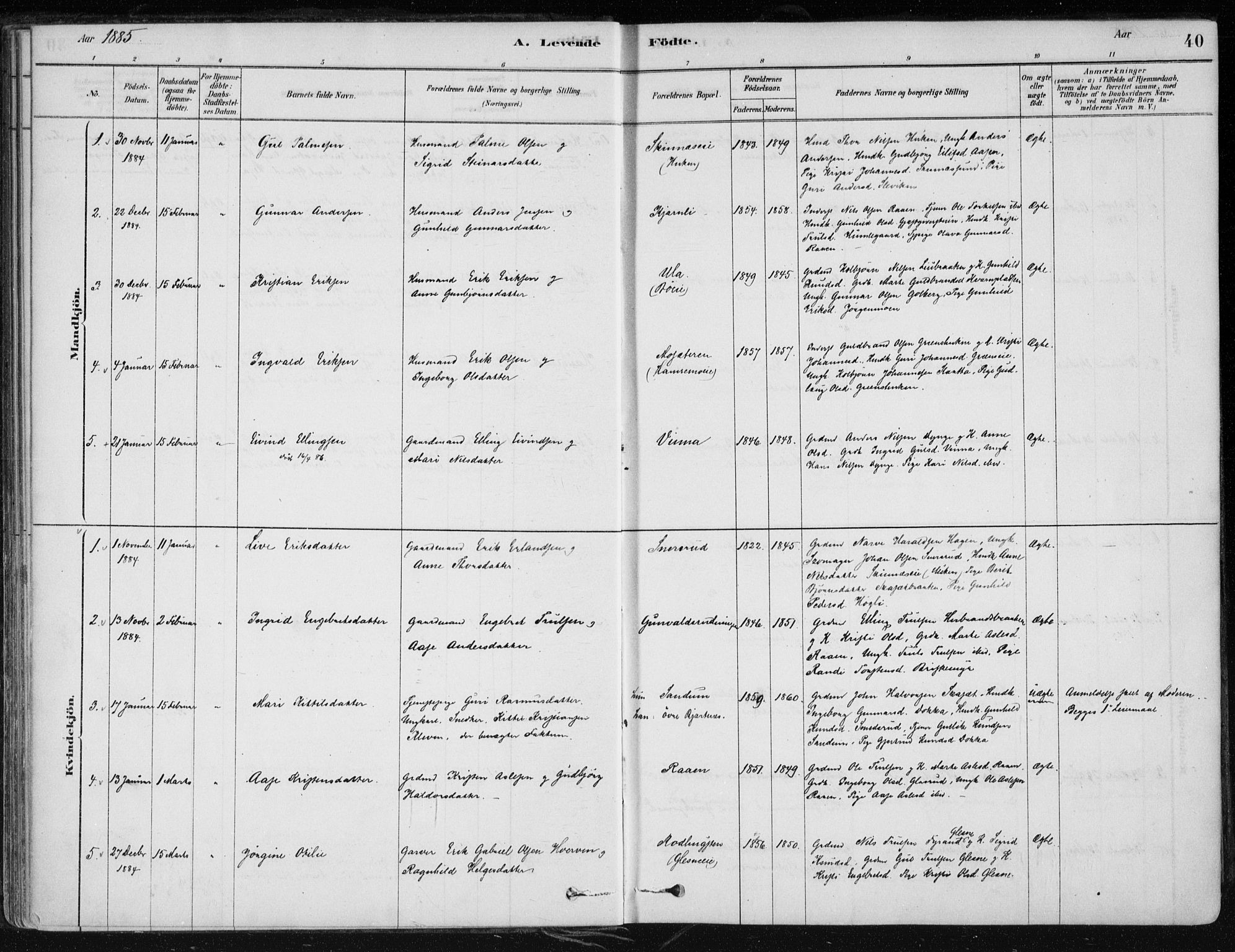 Krødsherad kirkebøker, SAKO/A-19/F/Fa/L0005: Parish register (official) no. 5, 1879-1888, p. 40