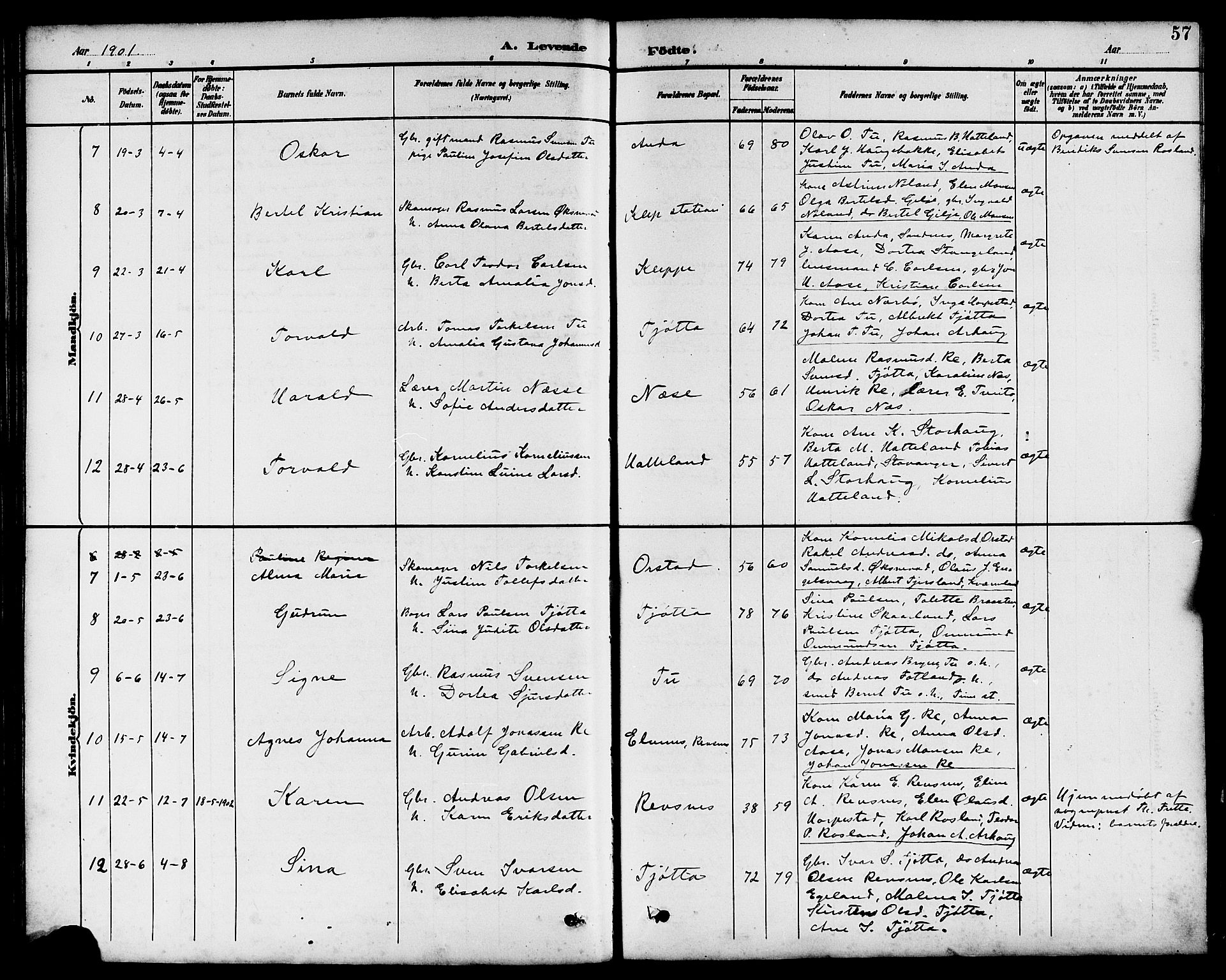 Klepp sokneprestkontor, SAST/A-101803/001/3/30BB/L0004: Parish register (copy) no. B 4, 1889-1914, p. 57