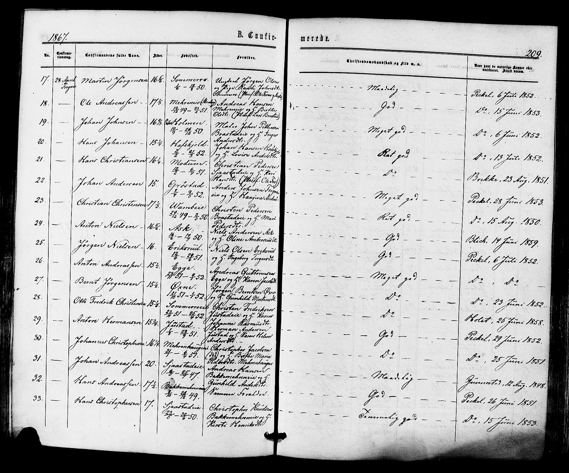 Lier kirkebøker, SAKO/A-230/F/Fa/L0013: Parish register (official) no. I 13, 1865-1874, p. 209
