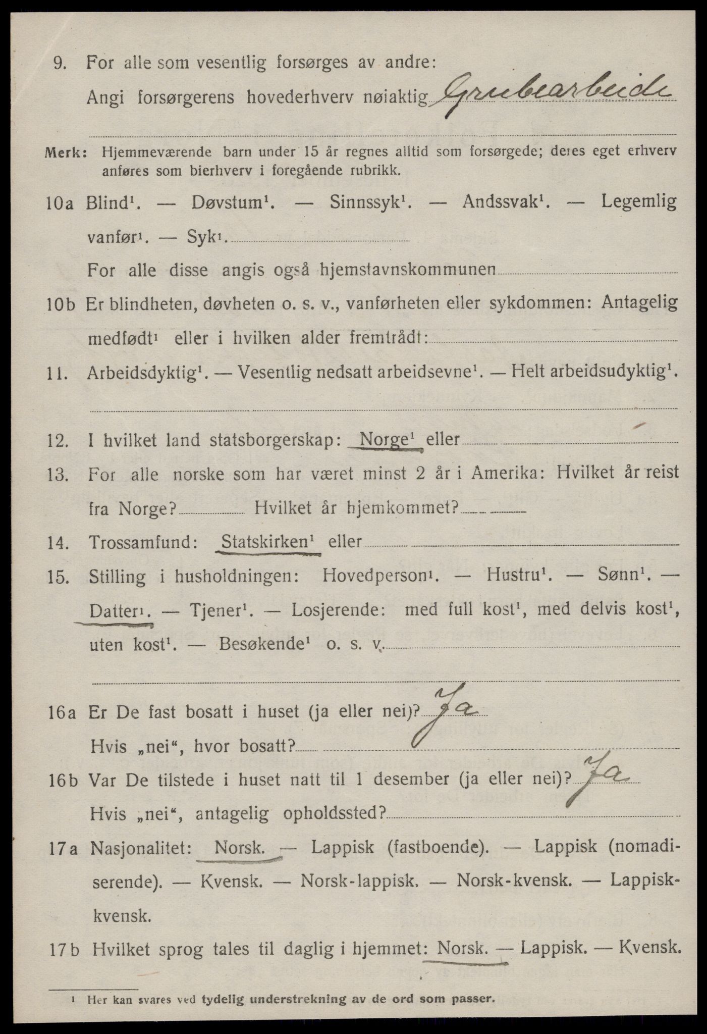 SAT, 1920 census for Røros, 1920, p. 8181