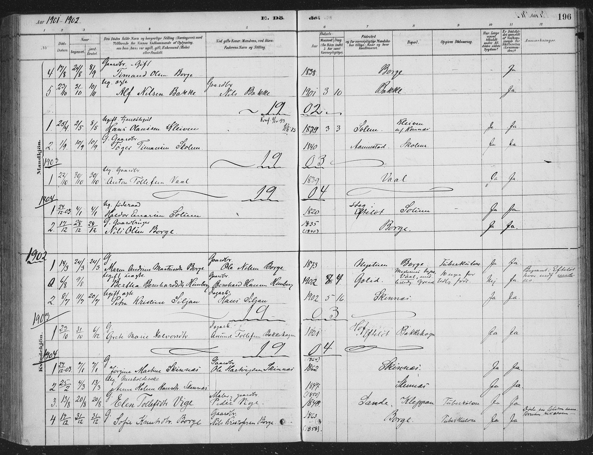 Sandsvær kirkebøker, AV/SAKO-A-244/F/Fe/L0001: Parish register (official) no. V 1, 1878-1936, p. 196