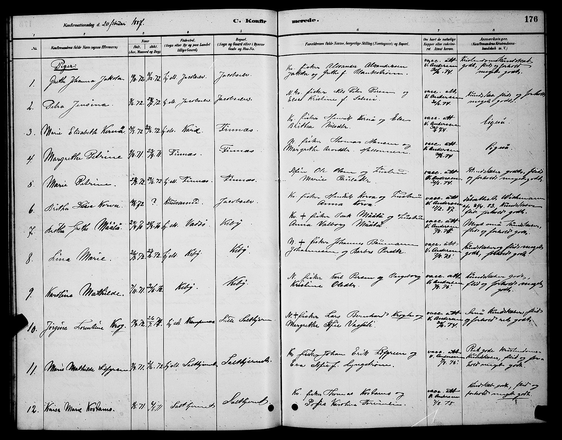 Vadsø sokneprestkontor, SATØ/S-1325/H/Hb/L0003klokker: Parish register (copy) no. 3, 1881-1901, p. 176