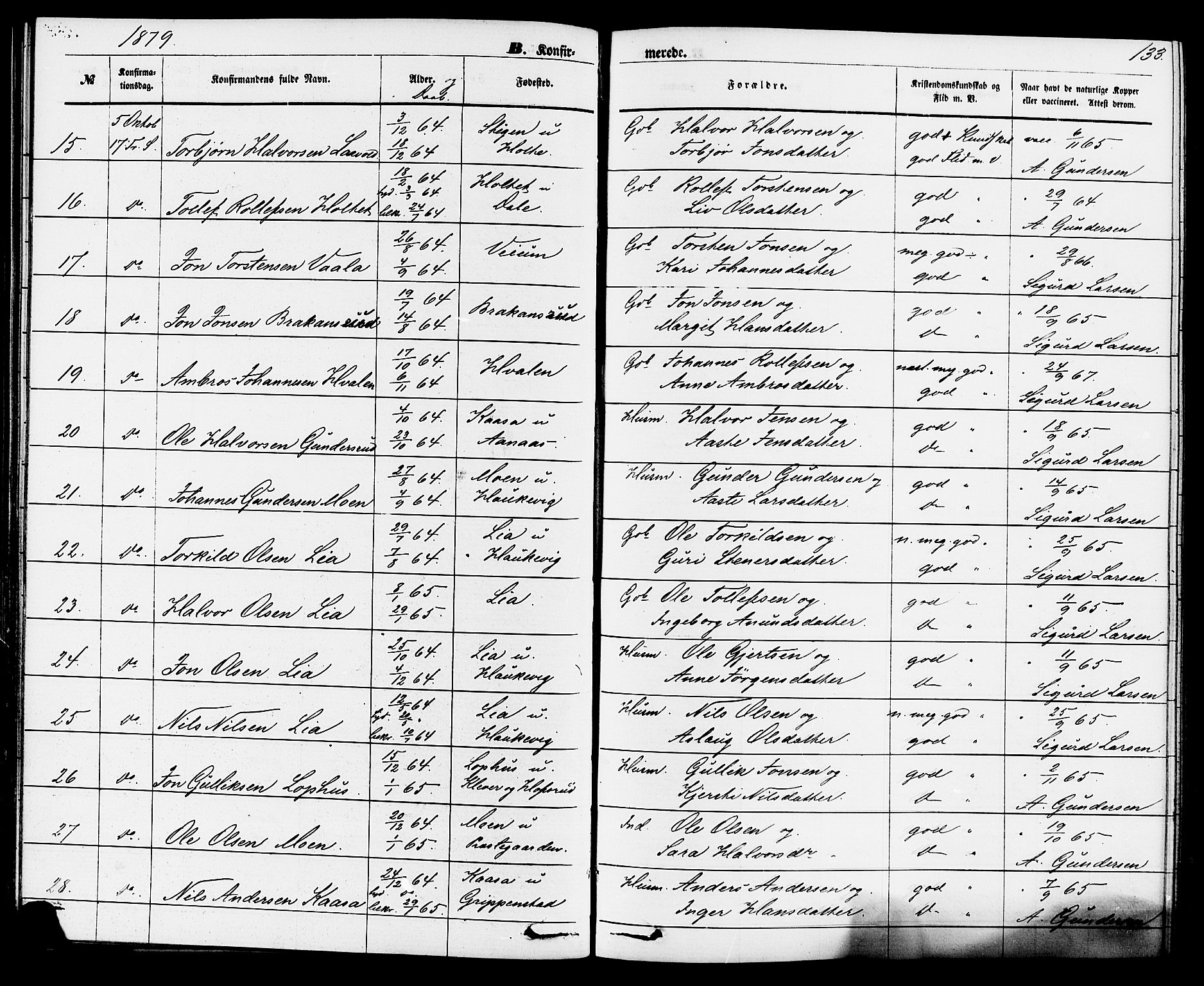 Sauherad kirkebøker, SAKO/A-298/F/Fa/L0008: Parish register (official) no. I 8, 1873-1886, p. 133