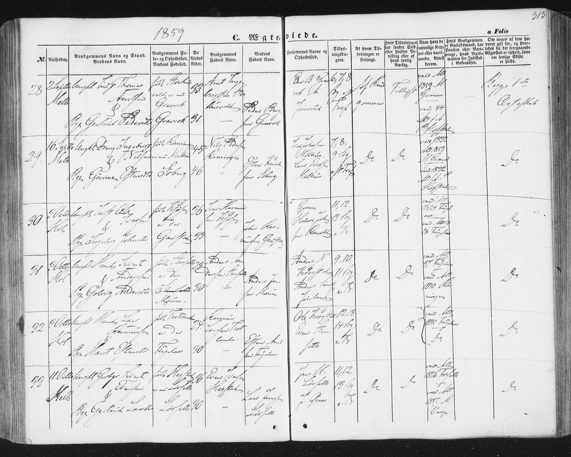 Ministerialprotokoller, klokkerbøker og fødselsregistre - Sør-Trøndelag, AV/SAT-A-1456/691/L1076: Parish register (official) no. 691A08, 1852-1861, p. 313