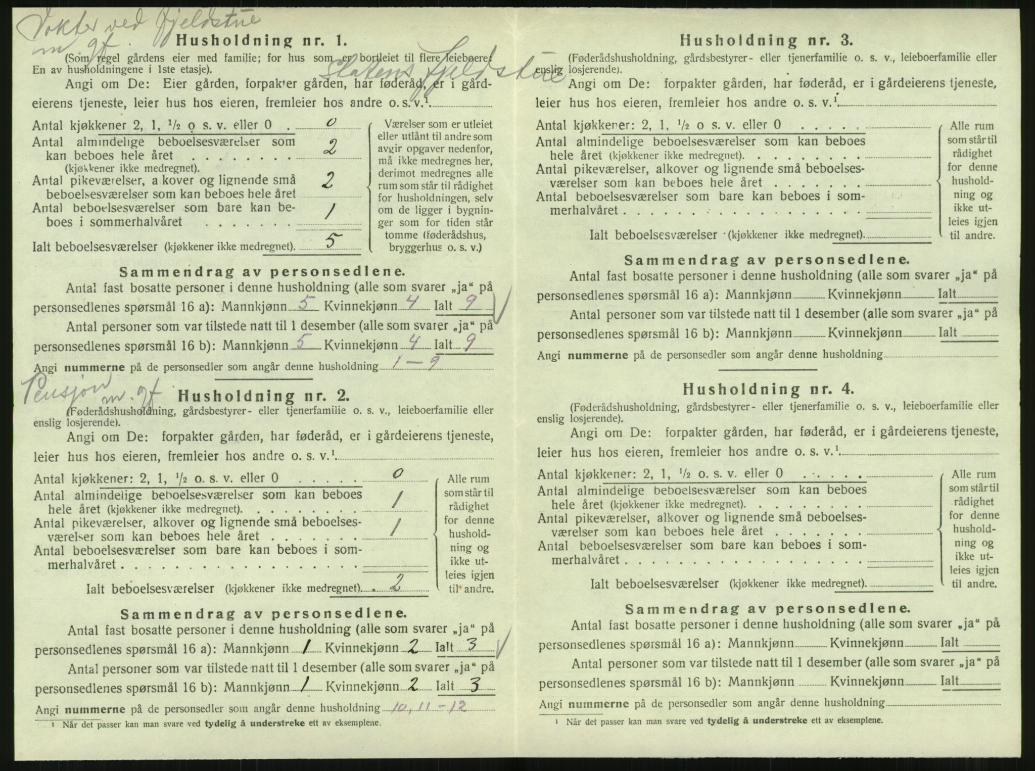 SAT, 1920 census for Hattfjelldal, 1920, p. 205