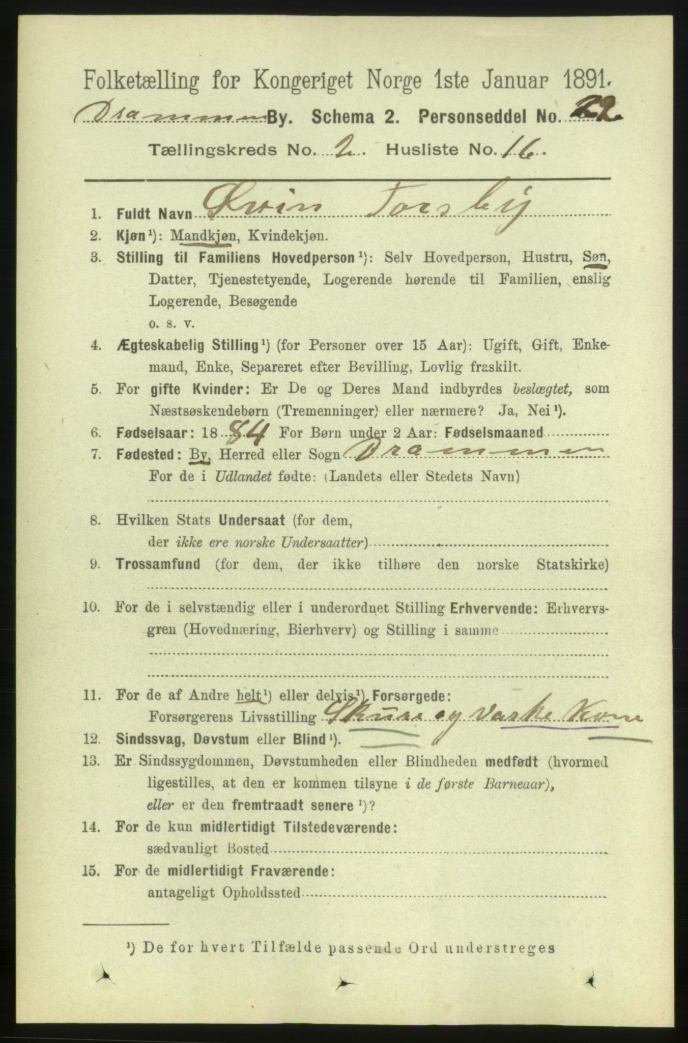 RA, 1891 census for 0602 Drammen, 1891, p. 4509