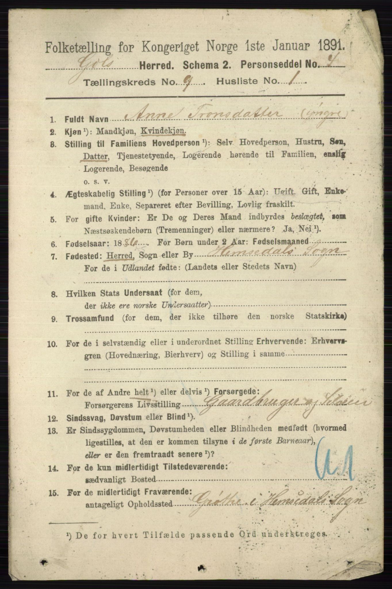 RA, 1891 census for 0617 Gol og Hemsedal, 1891, p. 3401