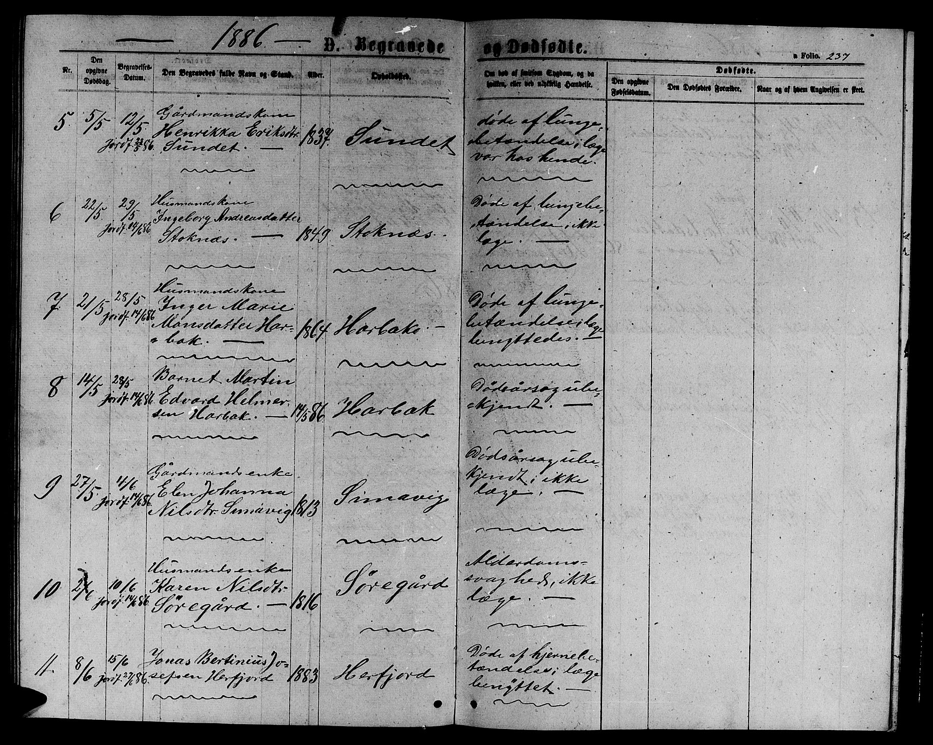 Ministerialprotokoller, klokkerbøker og fødselsregistre - Sør-Trøndelag, SAT/A-1456/656/L0695: Parish register (copy) no. 656C01, 1867-1889, p. 237