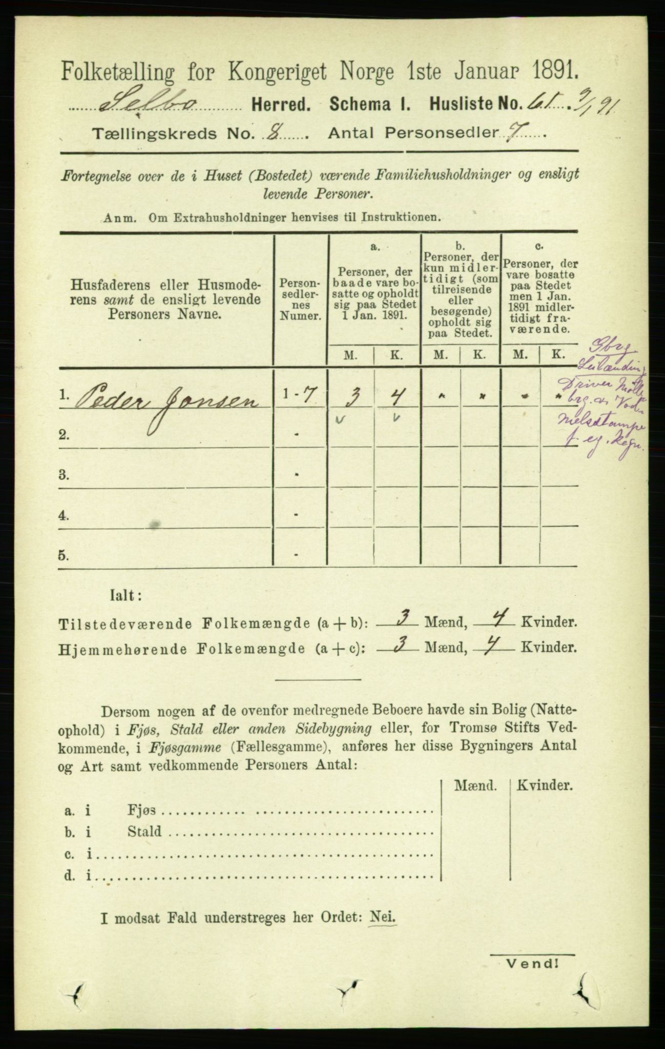 RA, 1891 census for 1664 Selbu, 1891, p. 2905