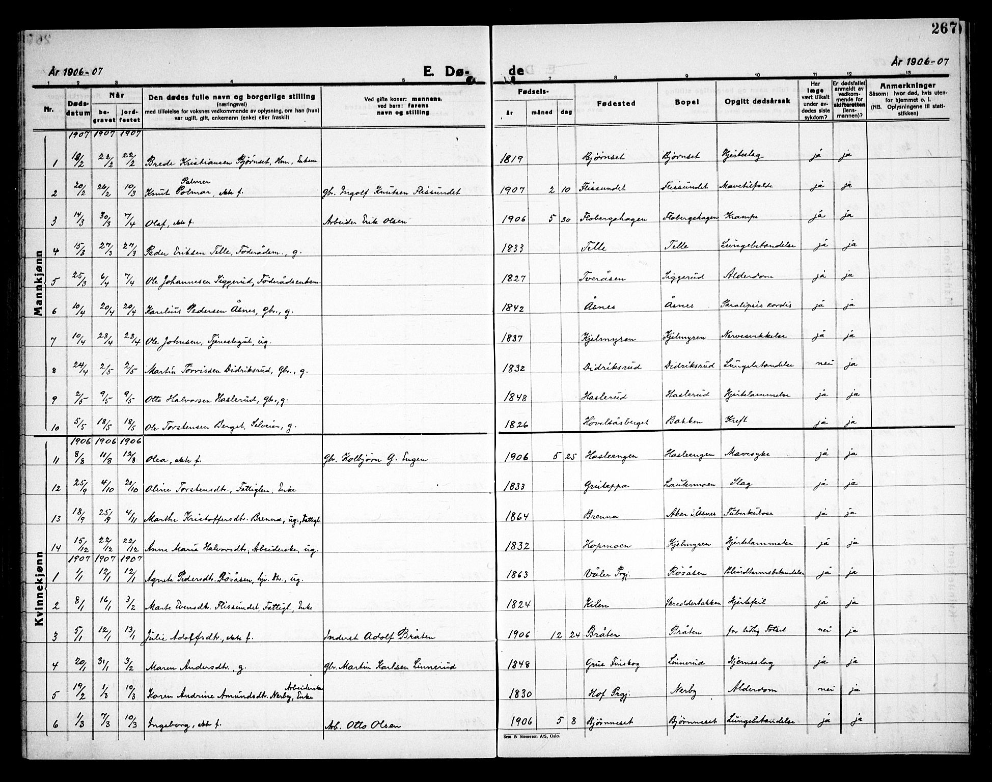 Åsnes prestekontor, SAH/PREST-042/H/Ha/Haa/L0000C: Parish register (official) no. 0A, 1890-1929, p. 267