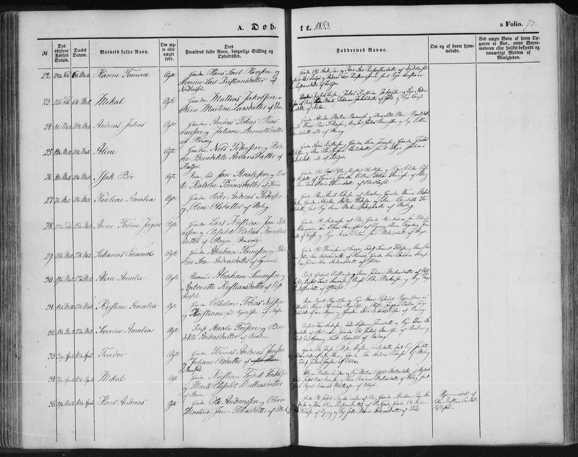 Lista sokneprestkontor, AV/SAK-1111-0027/F/Fa/L0010: Parish register (official) no. A 10, 1846-1861, p. 73