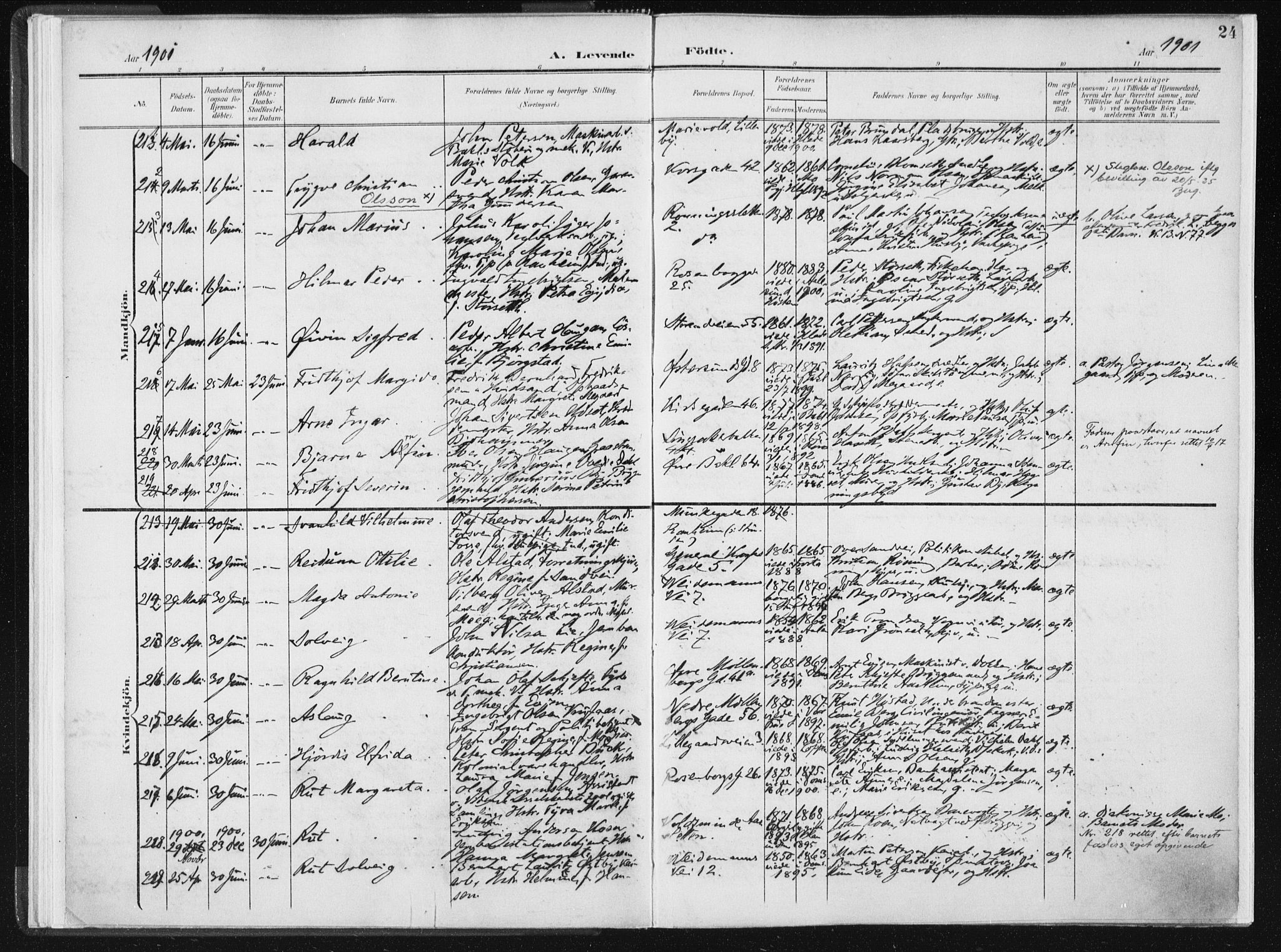 Ministerialprotokoller, klokkerbøker og fødselsregistre - Sør-Trøndelag, SAT/A-1456/604/L0199: Parish register (official) no. 604A20I, 1901-1906, p. 24