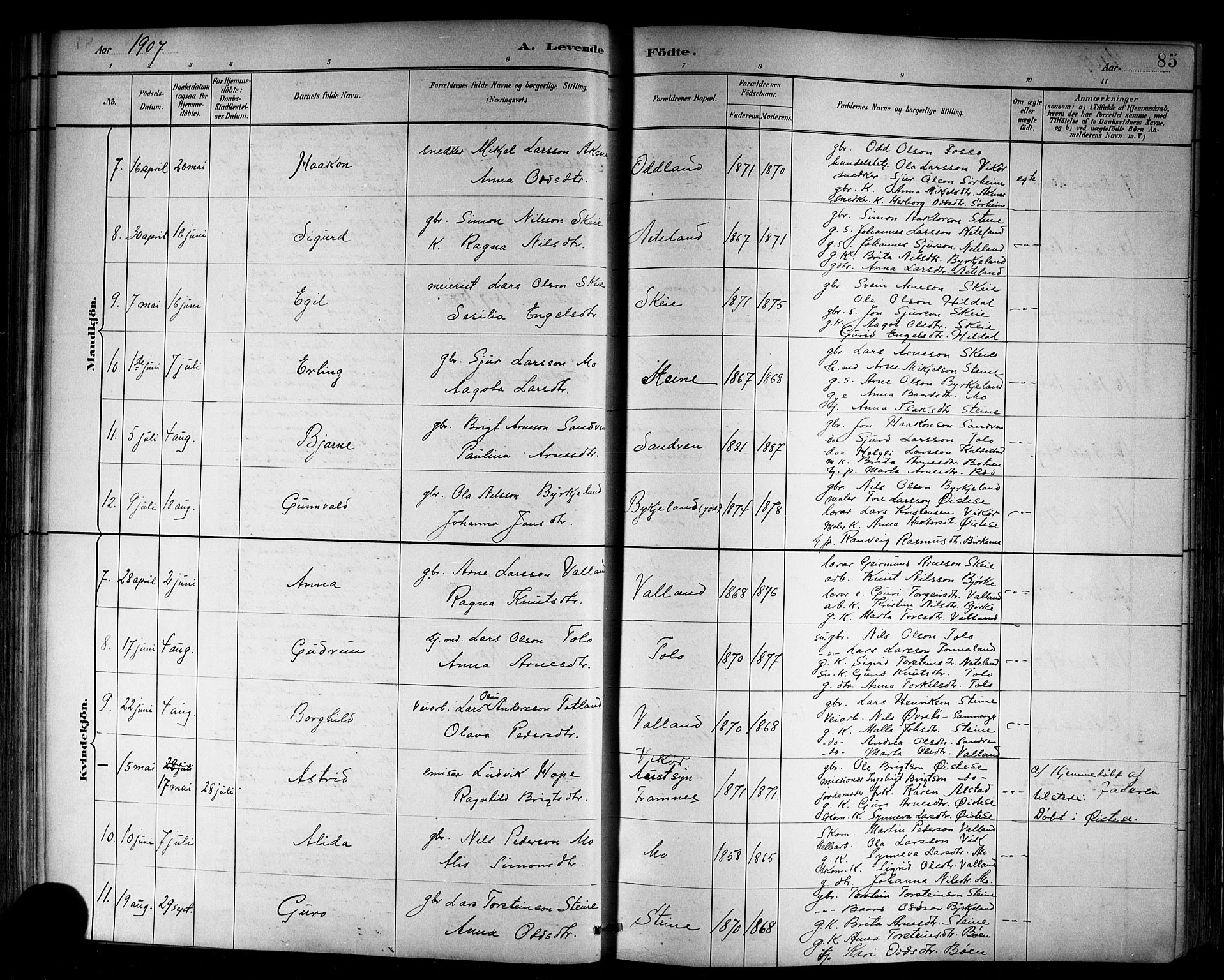 Kvam sokneprestembete, SAB/A-76201/H/Hab: Parish register (copy) no. B 3, 1884-1916, p. 85