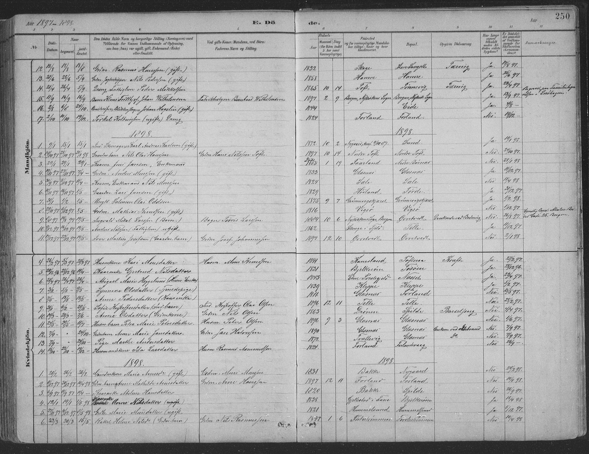 Sund sokneprestembete, SAB/A-99930: Parish register (copy) no. B 3, 1882-1911, p. 250