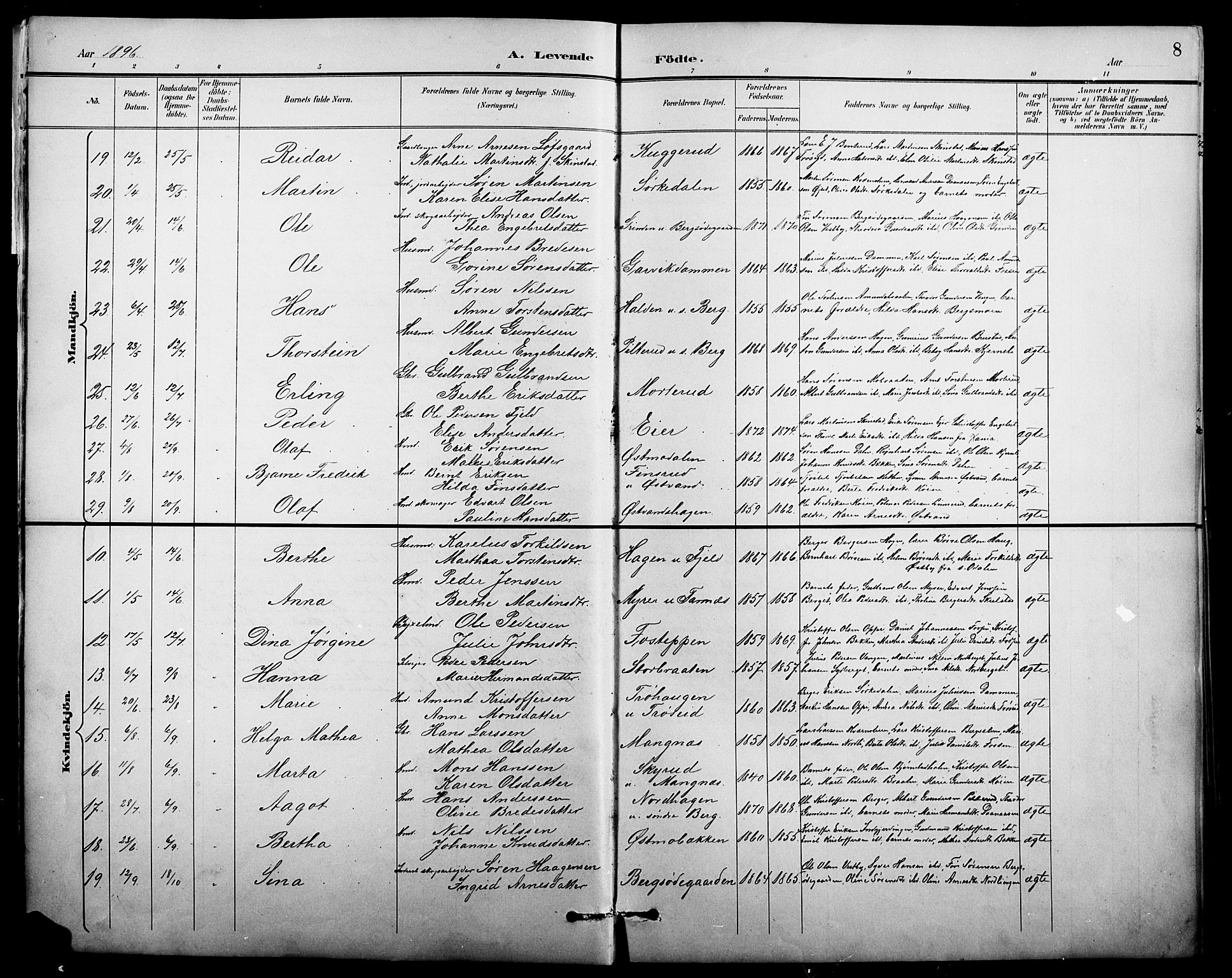 Nord-Odal prestekontor, AV/SAH-PREST-032/H/Ha/Hab/L0002: Parish register (copy) no. 2, 1895-1921, p. 8