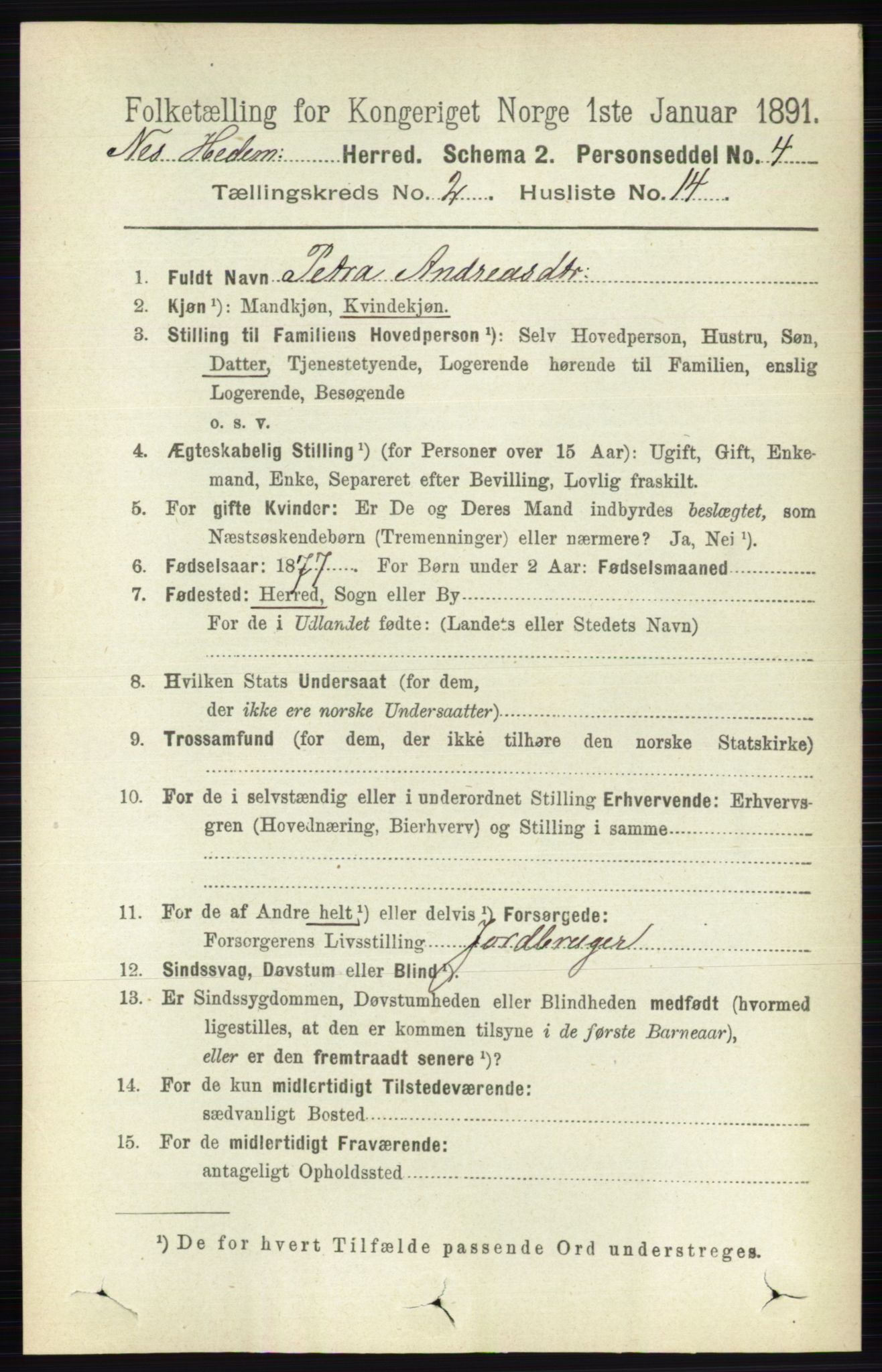 RA, 1891 census for 0411 Nes, 1891, p. 1154
