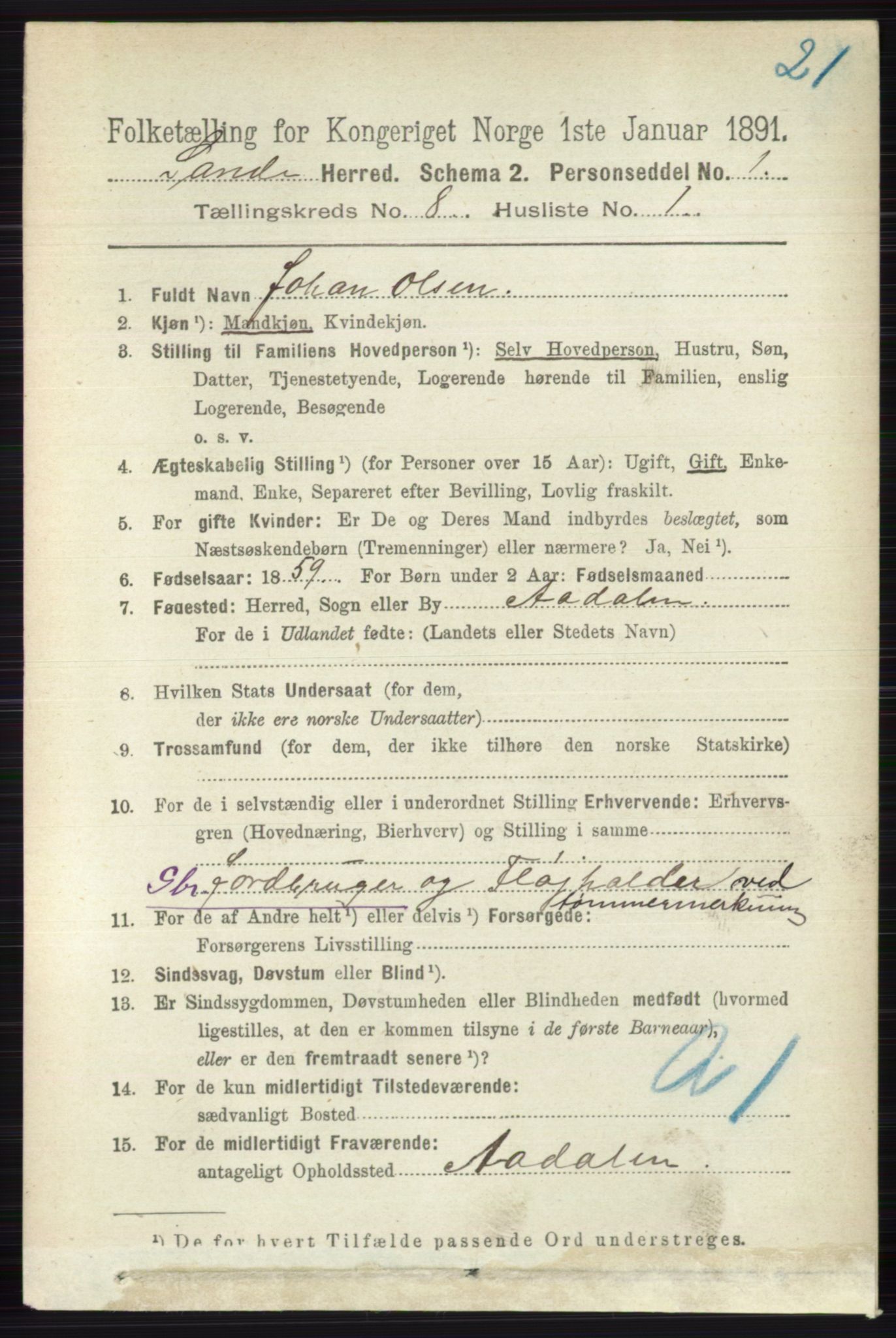 RA, 1891 census for 0713 Sande, 1891, p. 3528