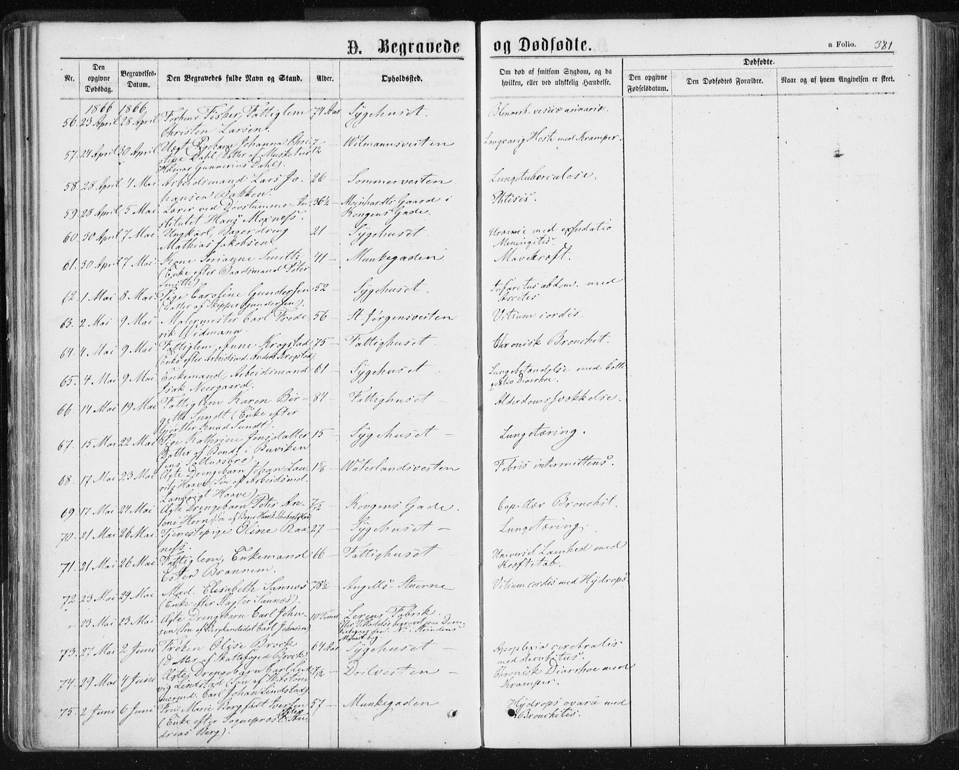 Ministerialprotokoller, klokkerbøker og fødselsregistre - Sør-Trøndelag, AV/SAT-A-1456/601/L0055: Parish register (official) no. 601A23, 1866-1877, p. 381