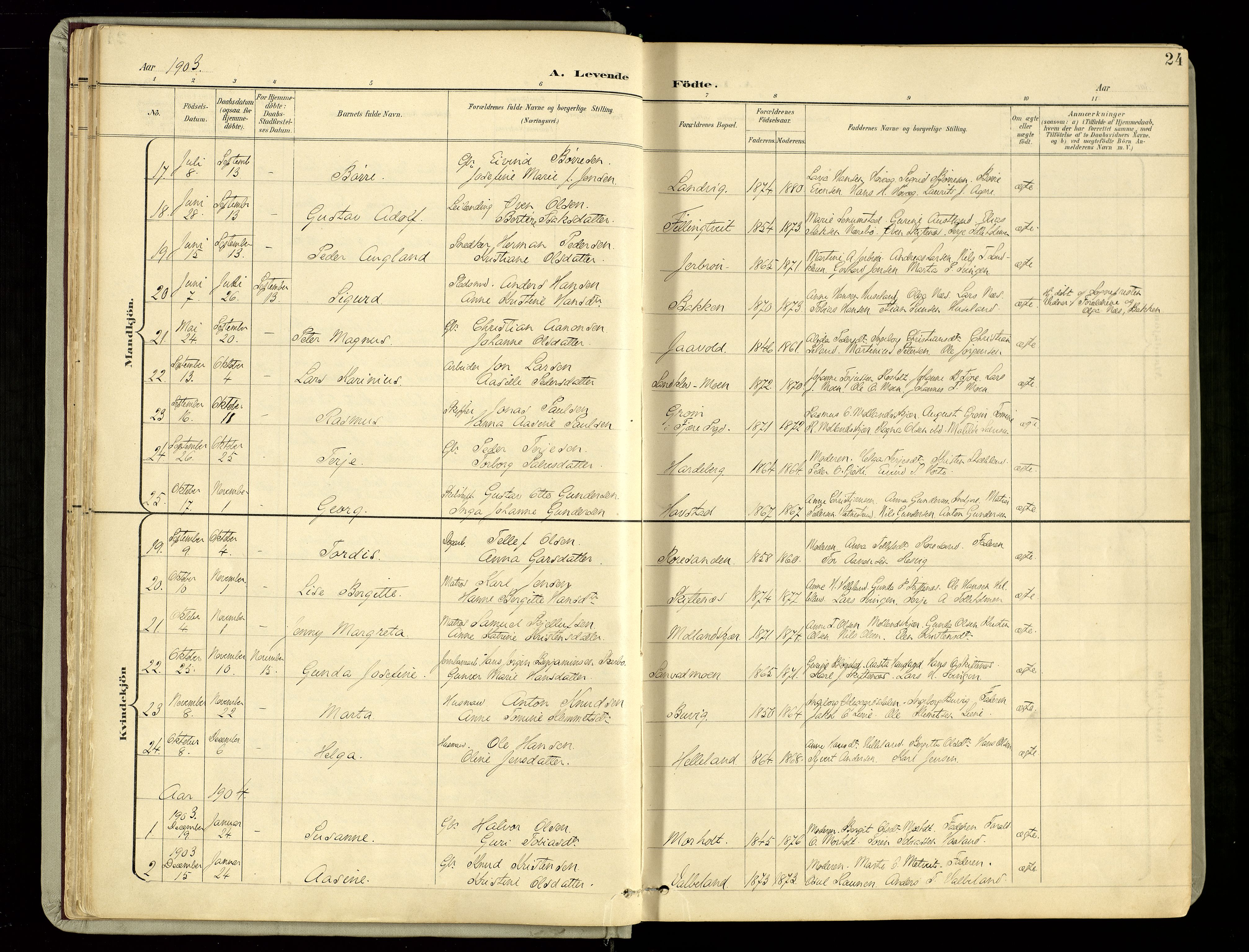 Hommedal sokneprestkontor, SAK/1111-0023/F/Fa/Fab/L0007: Parish register (official) no. A 7, 1898-1924, p. 24
