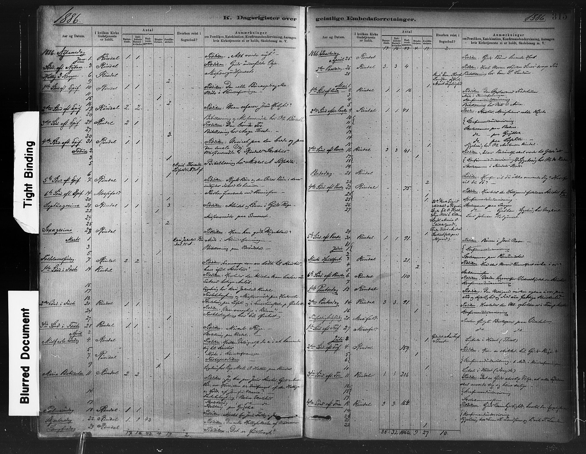 Ministerialprotokoller, klokkerbøker og fødselsregistre - Møre og Romsdal, AV/SAT-A-1454/598/L1069: Parish register (official) no. 598A03, 1882-1895, p. 315