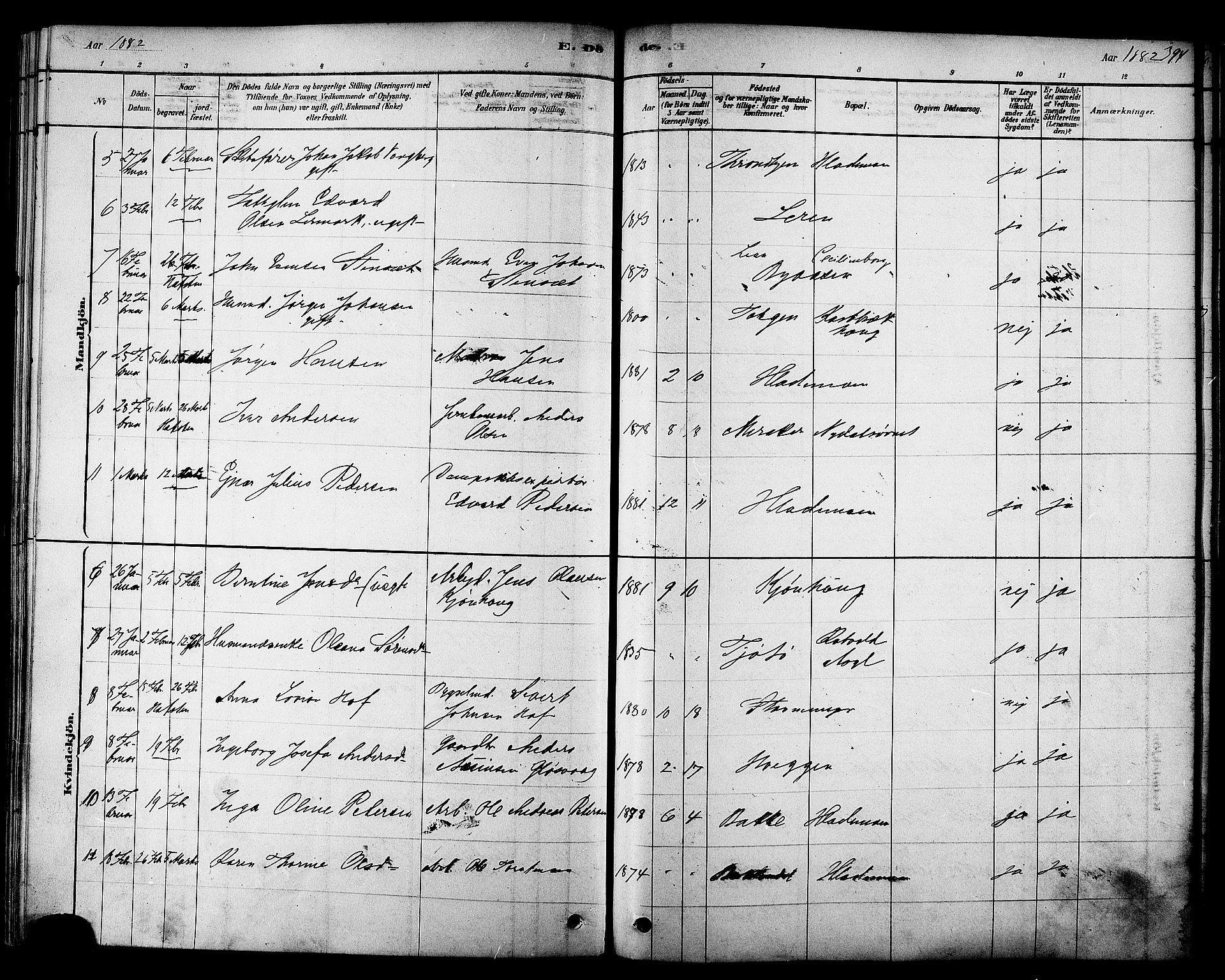 Ministerialprotokoller, klokkerbøker og fødselsregistre - Sør-Trøndelag, AV/SAT-A-1456/606/L0294: Parish register (official) no. 606A09, 1878-1886, p. 394