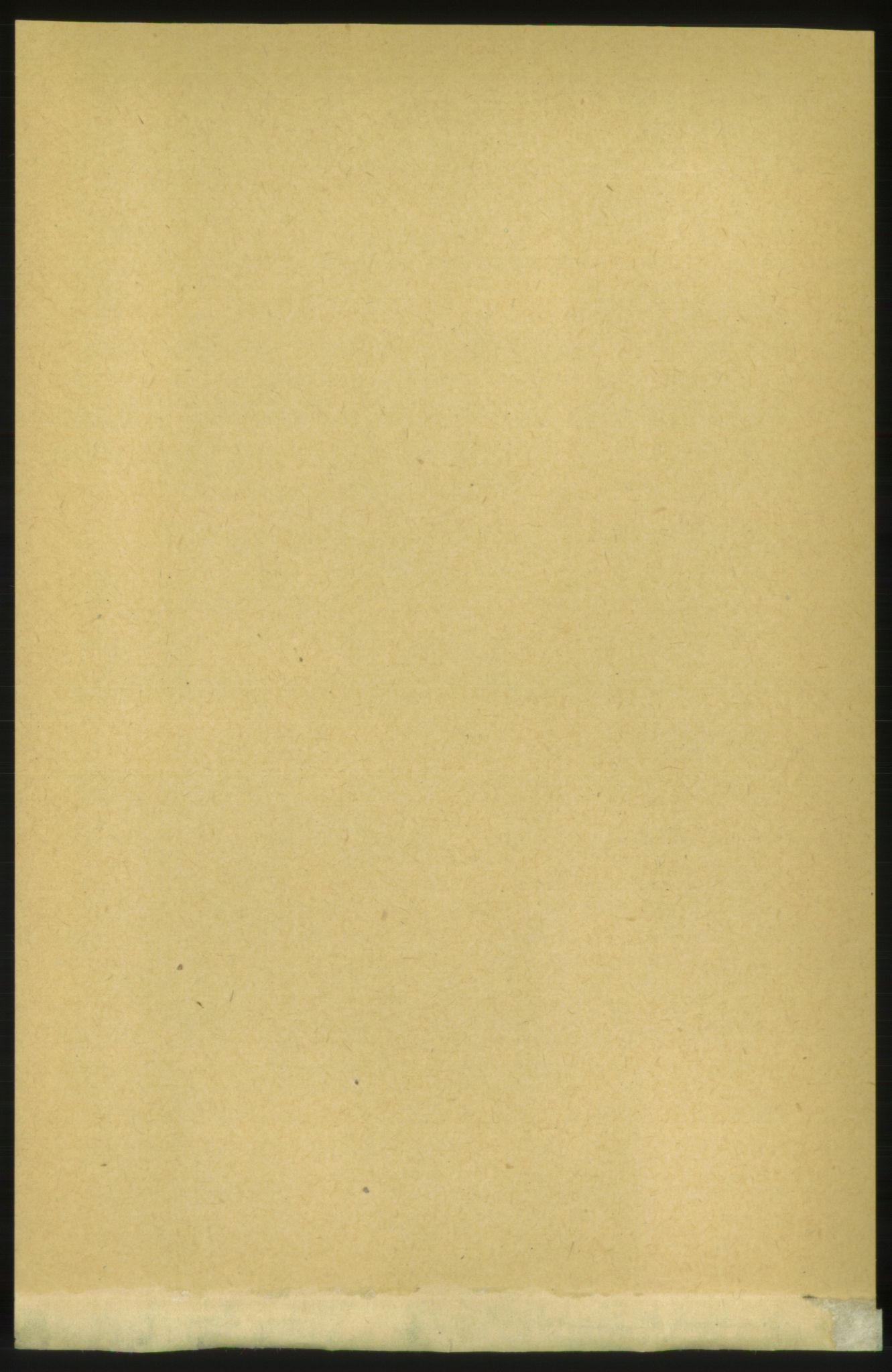 RA, 1891 census for 1566 Surnadal, 1891, p. 2868
