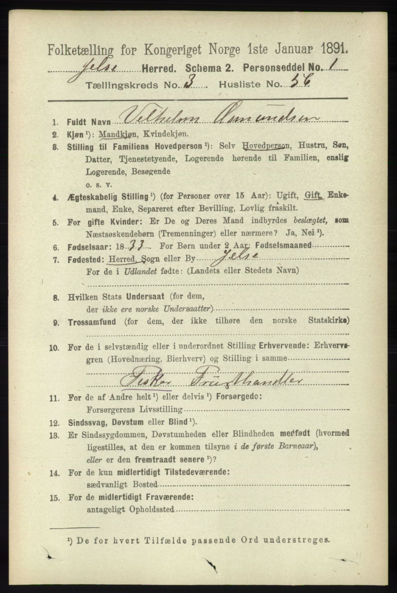 RA, 1891 census for 1138 Jelsa, 1891, p. 630