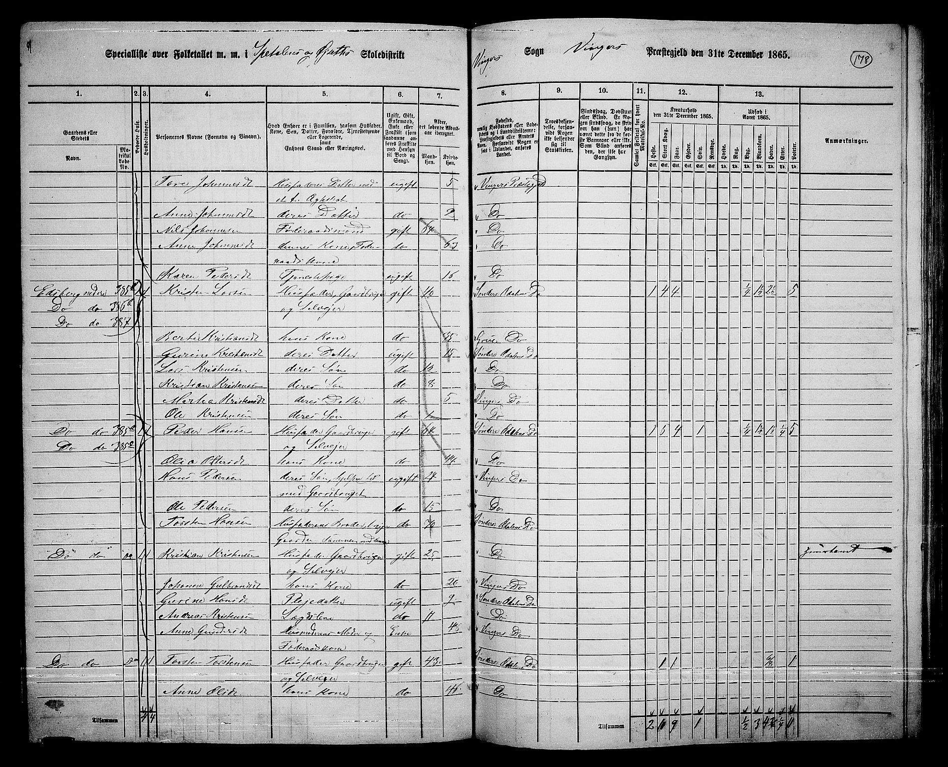 RA, 1865 census for Vinger/Vinger og Austmarka, 1865, p. 163