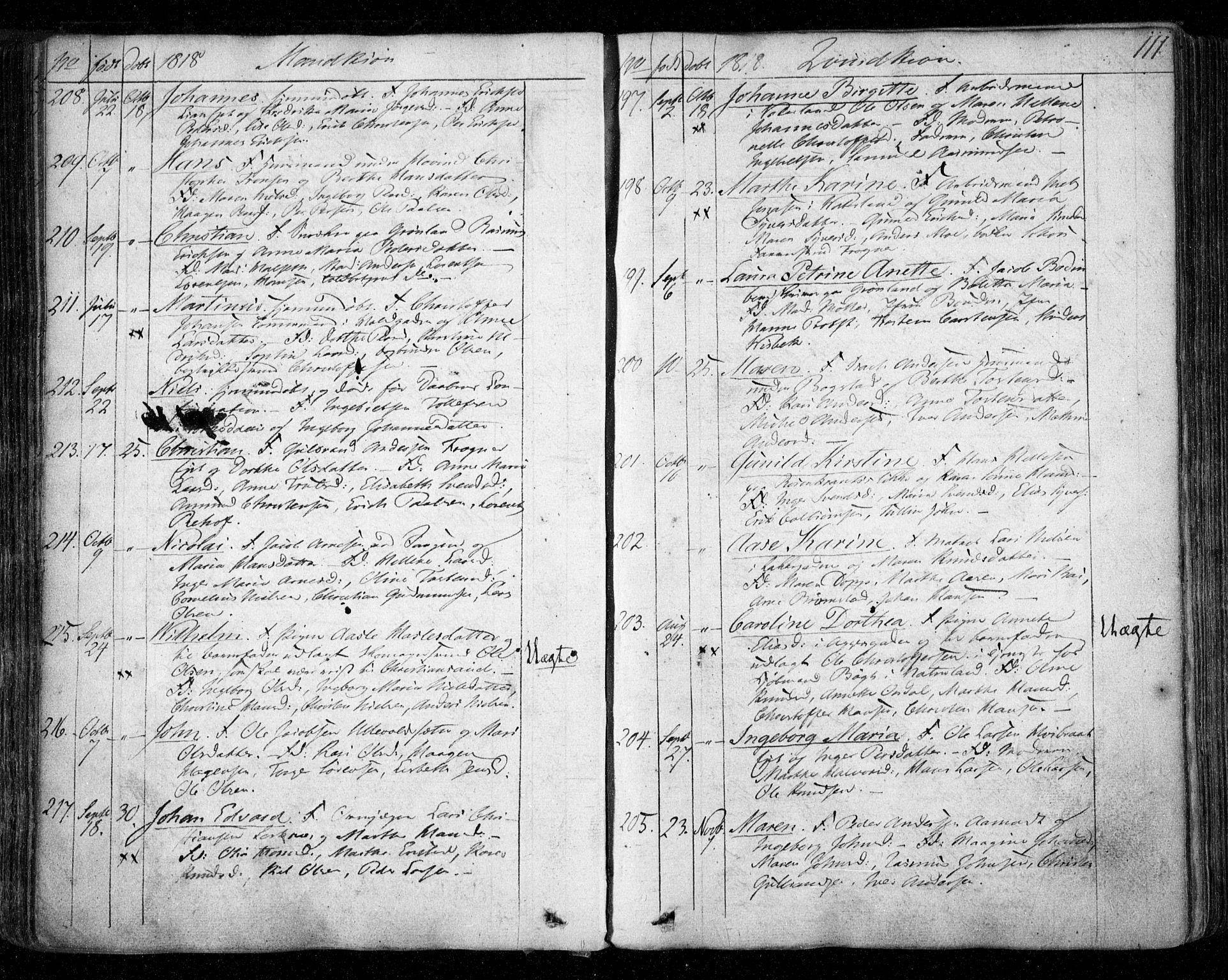 Aker prestekontor kirkebøker, SAO/A-10861/F/L0011: Parish register (official) no. 11, 1810-1819, p. 111
