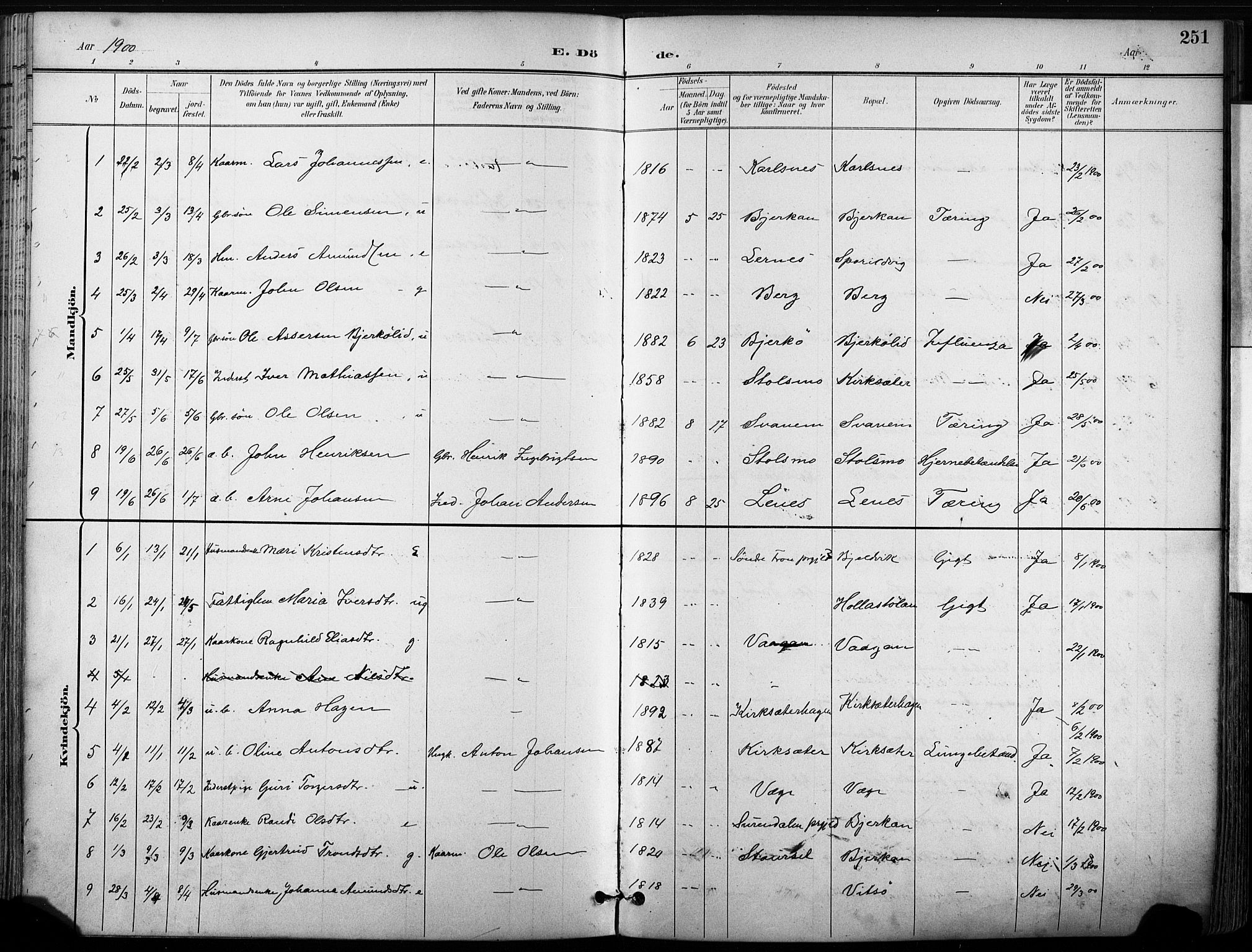 Ministerialprotokoller, klokkerbøker og fødselsregistre - Sør-Trøndelag, SAT/A-1456/630/L0497: Parish register (official) no. 630A10, 1896-1910, p. 251
