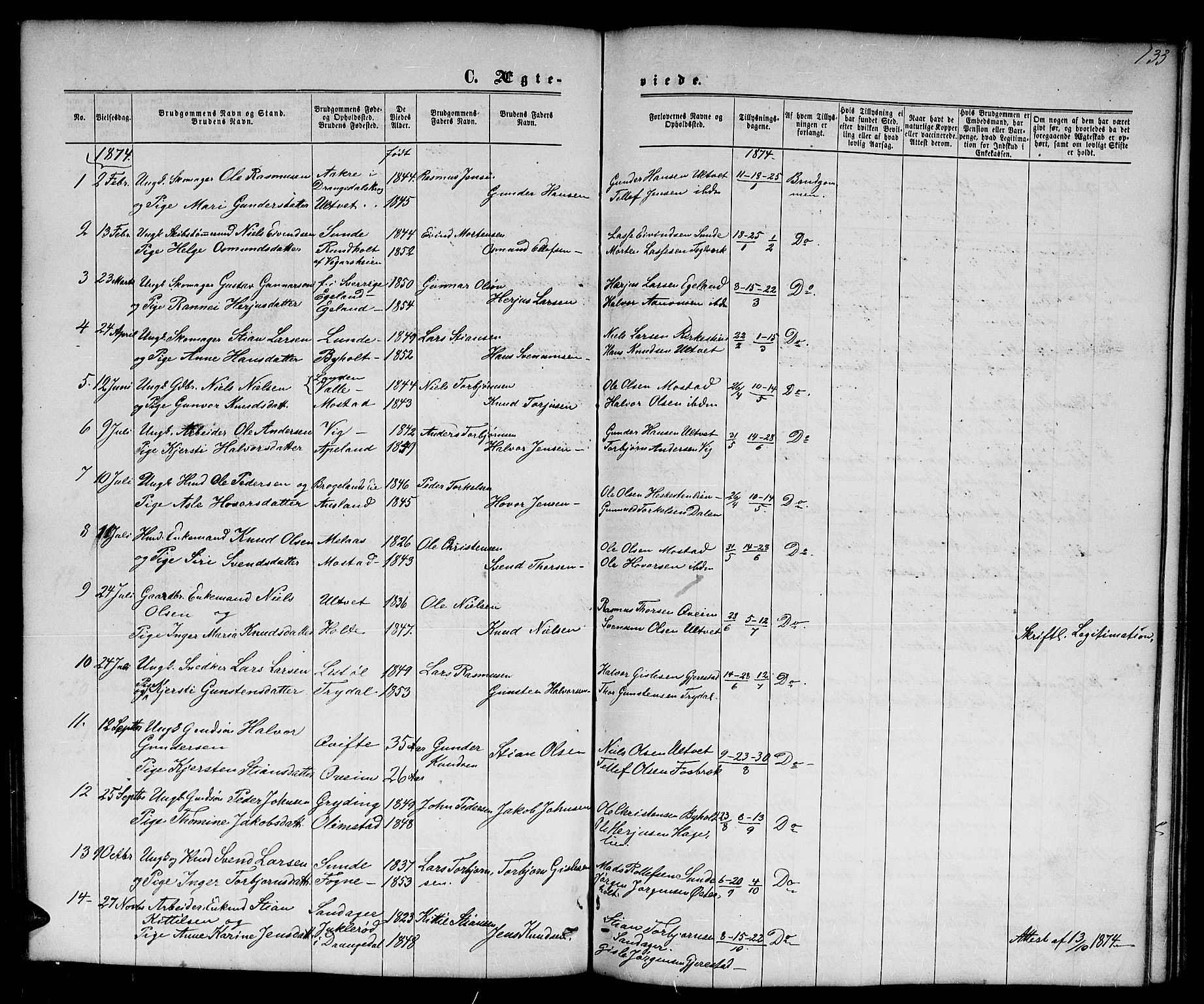 Gjerstad sokneprestkontor, AV/SAK-1111-0014/F/Fb/Fba/L0006: Parish register (copy) no. B 6, 1868-1890, p. 133