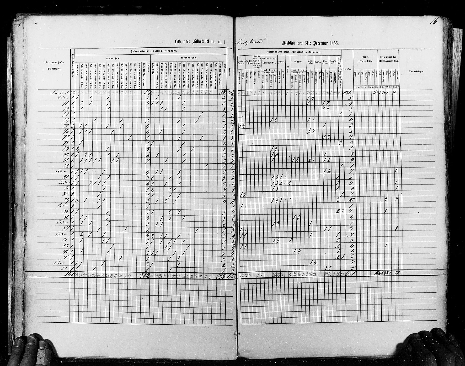 RA, Census 1855, vol. 8: Risør-Vadsø, 1855, p. 16