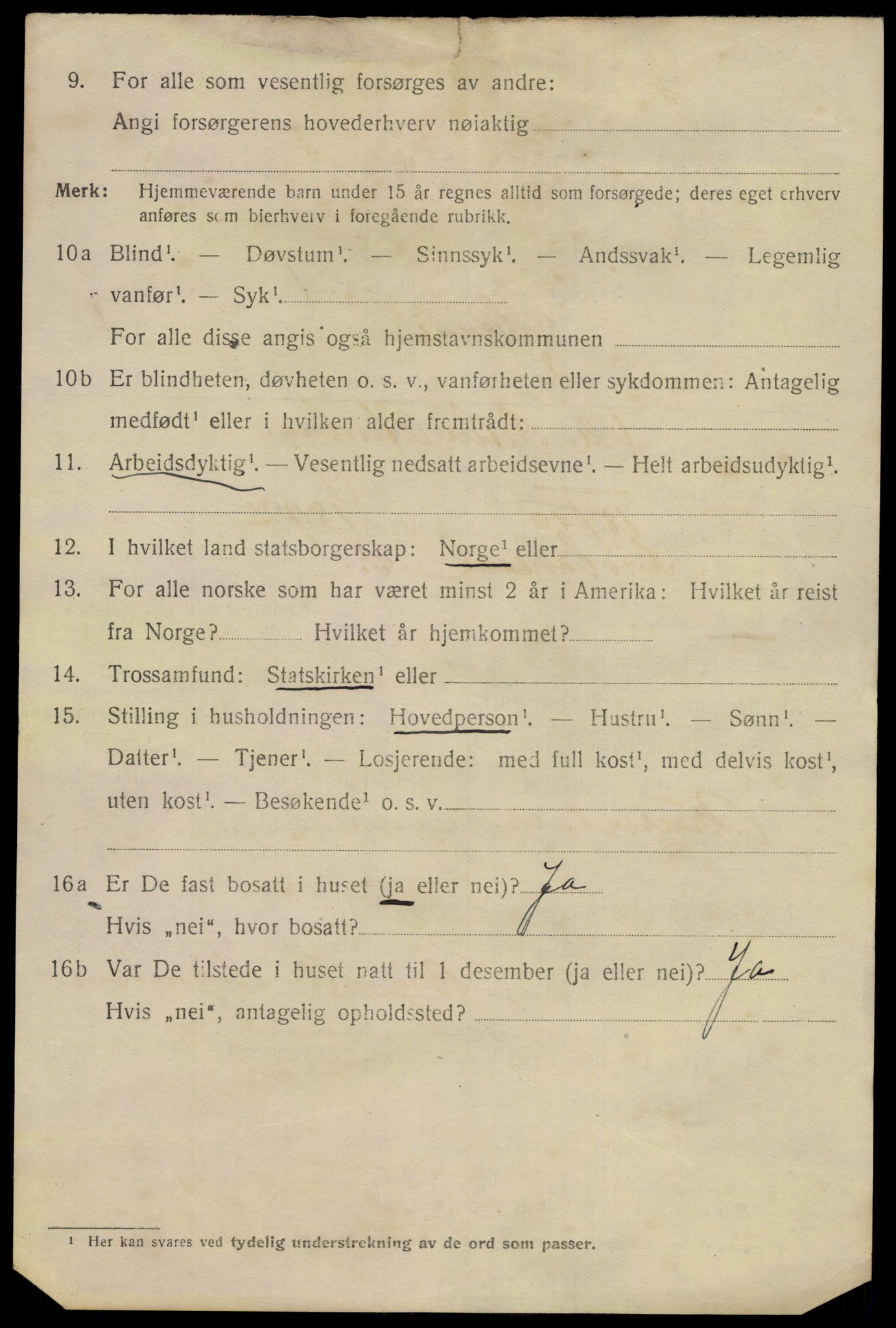 SAKO, 1920 census for Skien, 1920, p. 12147