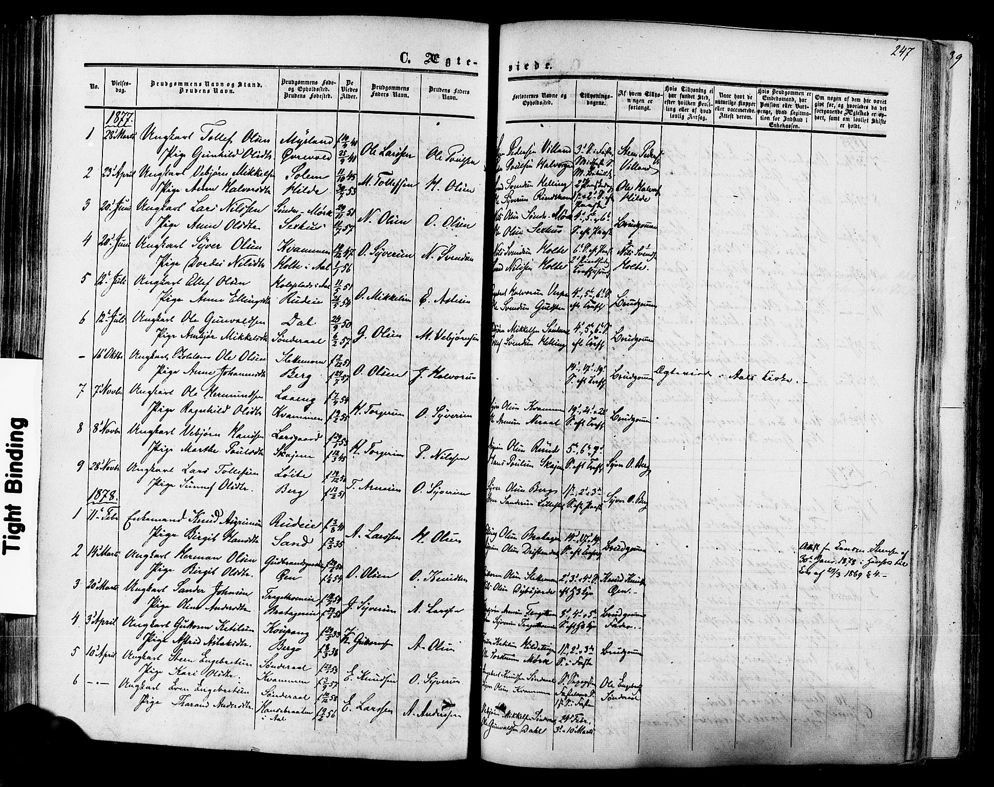 Hol kirkebøker, SAKO/A-227/F/Fa/L0002: Parish register (official) no. I 2, 1870-1886, p. 247