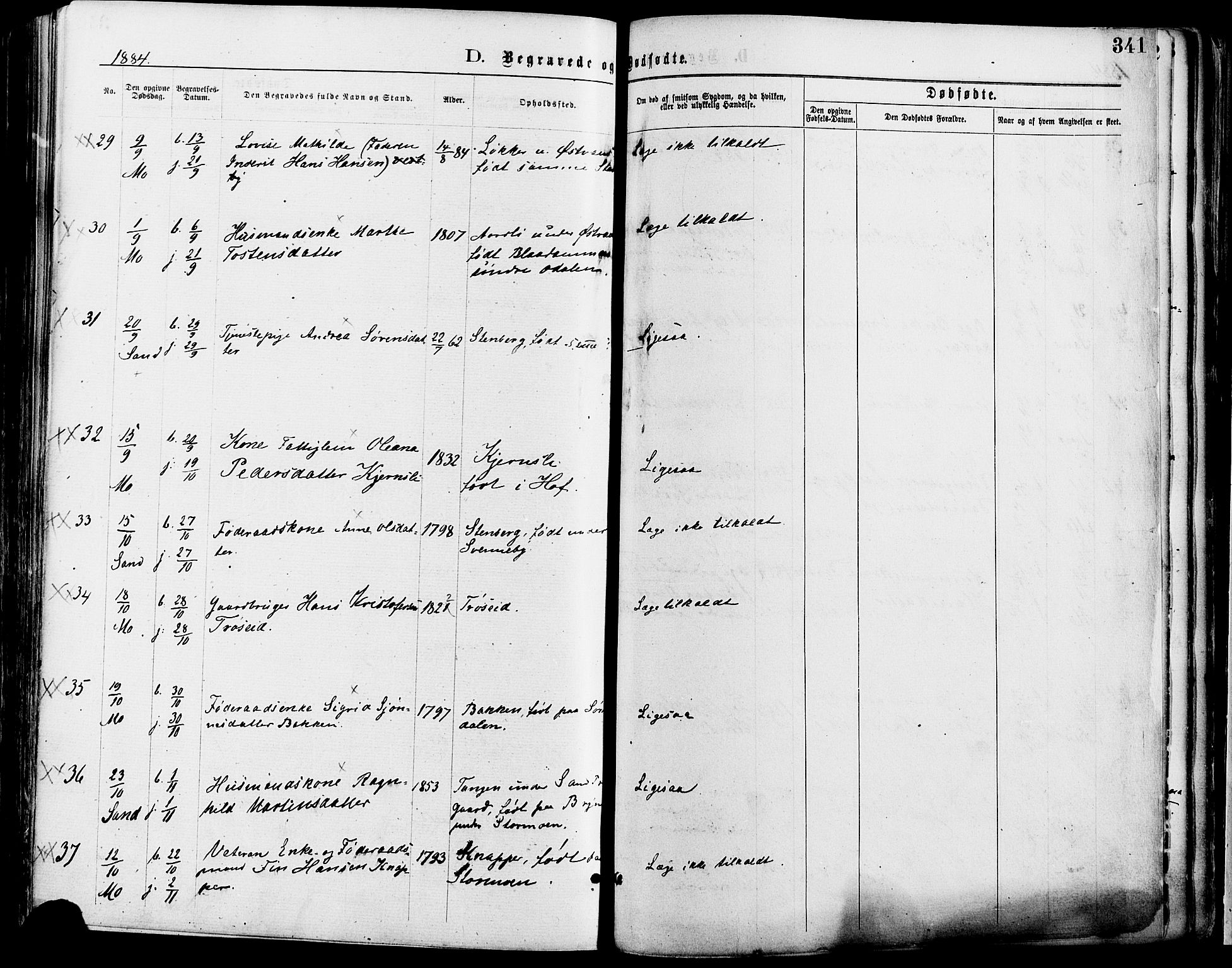 Nord-Odal prestekontor, AV/SAH-PREST-032/H/Ha/Haa/L0005: Parish register (official) no. 5, 1874-1885, p. 341