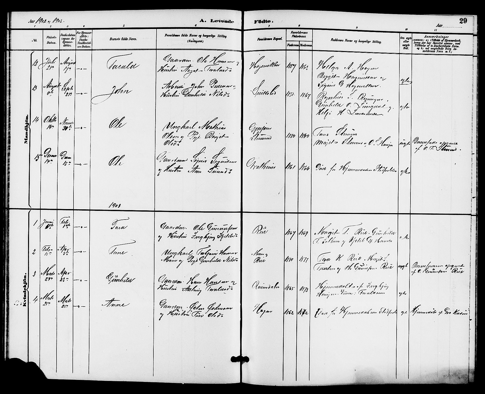 Hjartdal kirkebøker, SAKO/A-270/G/Gc/L0003: Parish register (copy) no. III 3, 1890-1907, p. 29