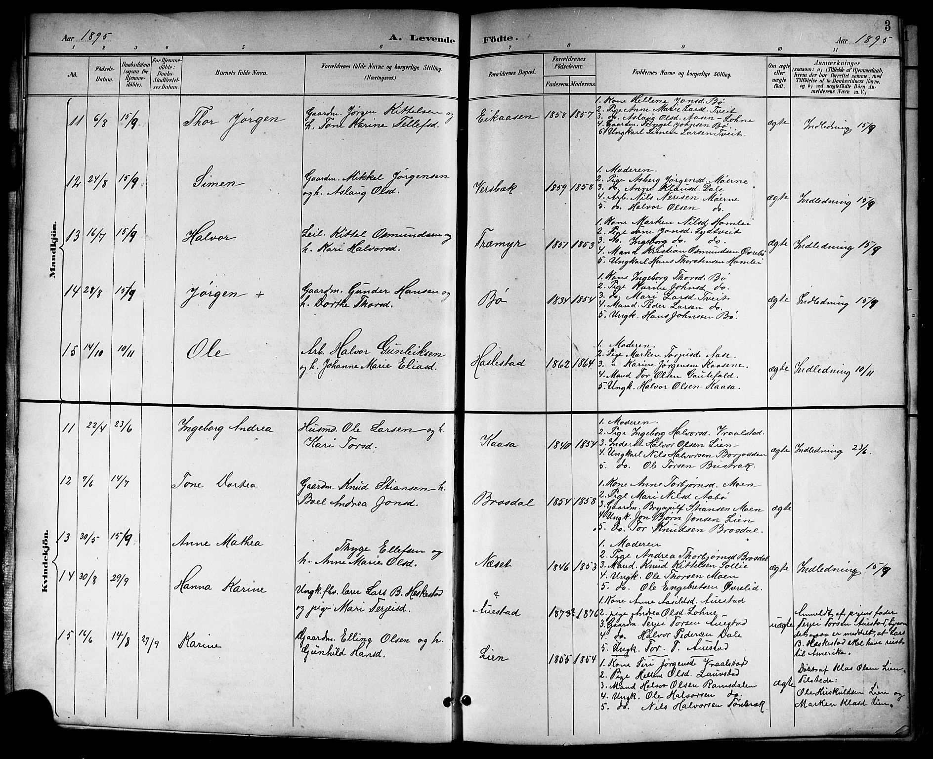 Drangedal kirkebøker, SAKO/A-258/G/Gb/L0002: Parish register (copy) no. II 2, 1895-1918, p. 3