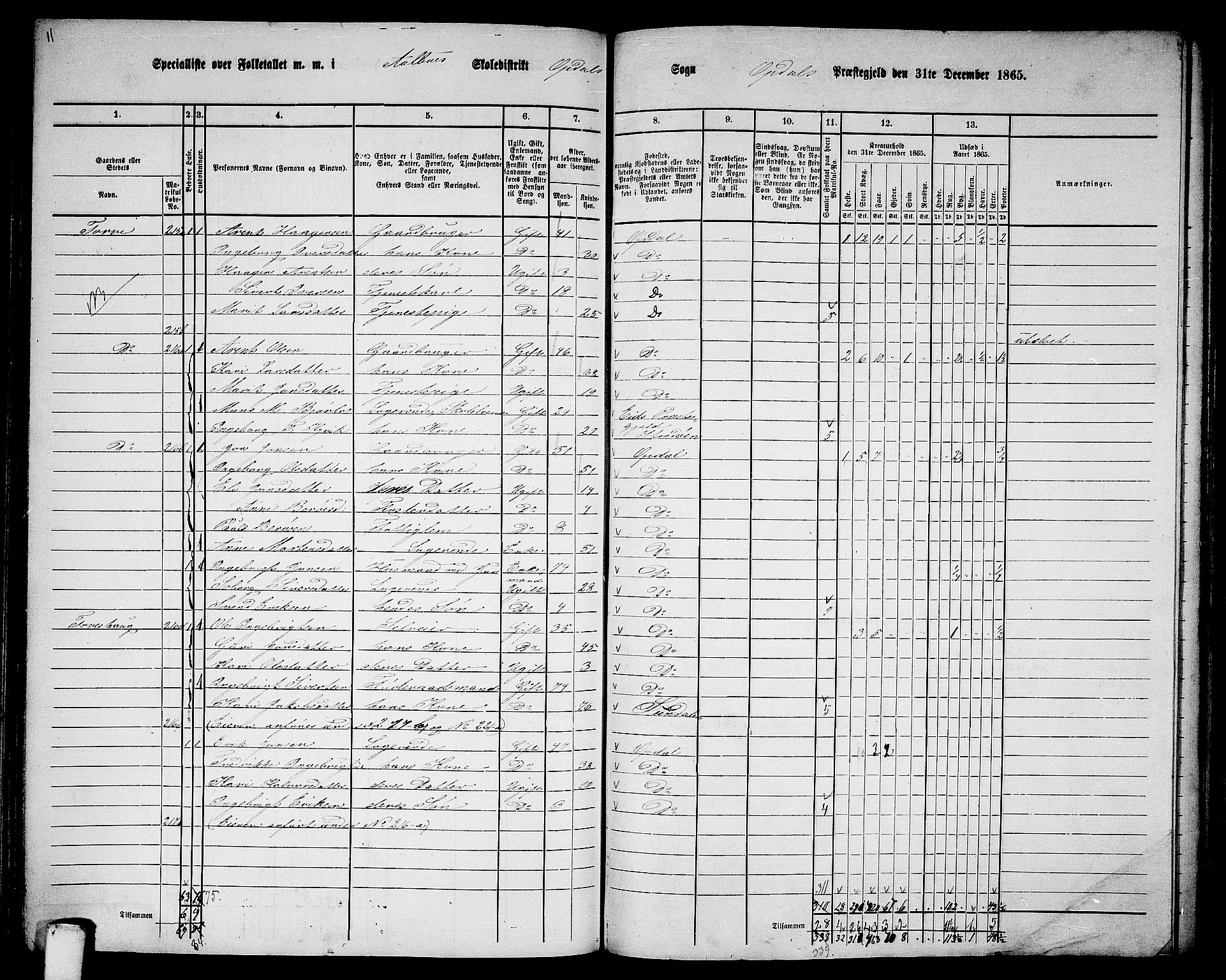 RA, 1865 census for Oppdal, 1865, p. 113