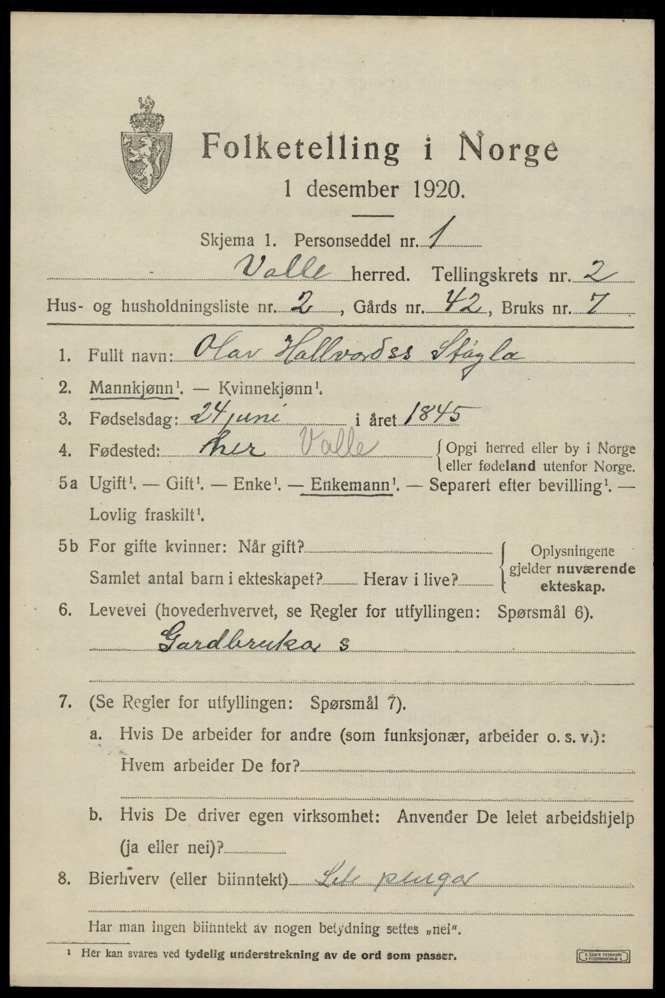 SAK, 1920 census for Valle, 1920, p. 971