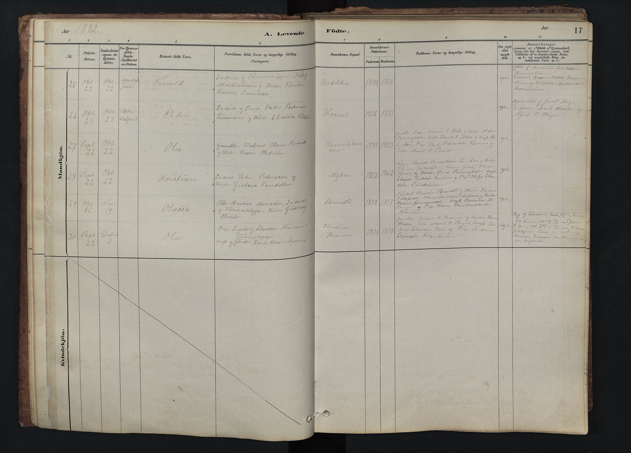 Rendalen prestekontor, SAH/PREST-054/H/Ha/Hab/L0009: Parish register (copy) no. 9, 1879-1902, p. 17