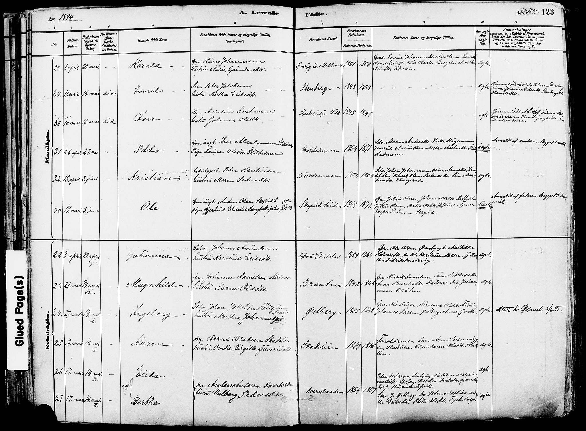 Grue prestekontor, AV/SAH-PREST-036/H/Ha/Haa/L0012: Parish register (official) no. 12, 1881-1897, p. 123