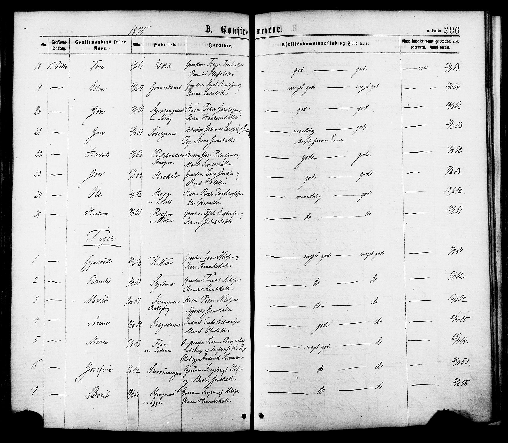 Ministerialprotokoller, klokkerbøker og fødselsregistre - Sør-Trøndelag, AV/SAT-A-1456/691/L1079: Parish register (official) no. 691A11, 1873-1886, p. 206