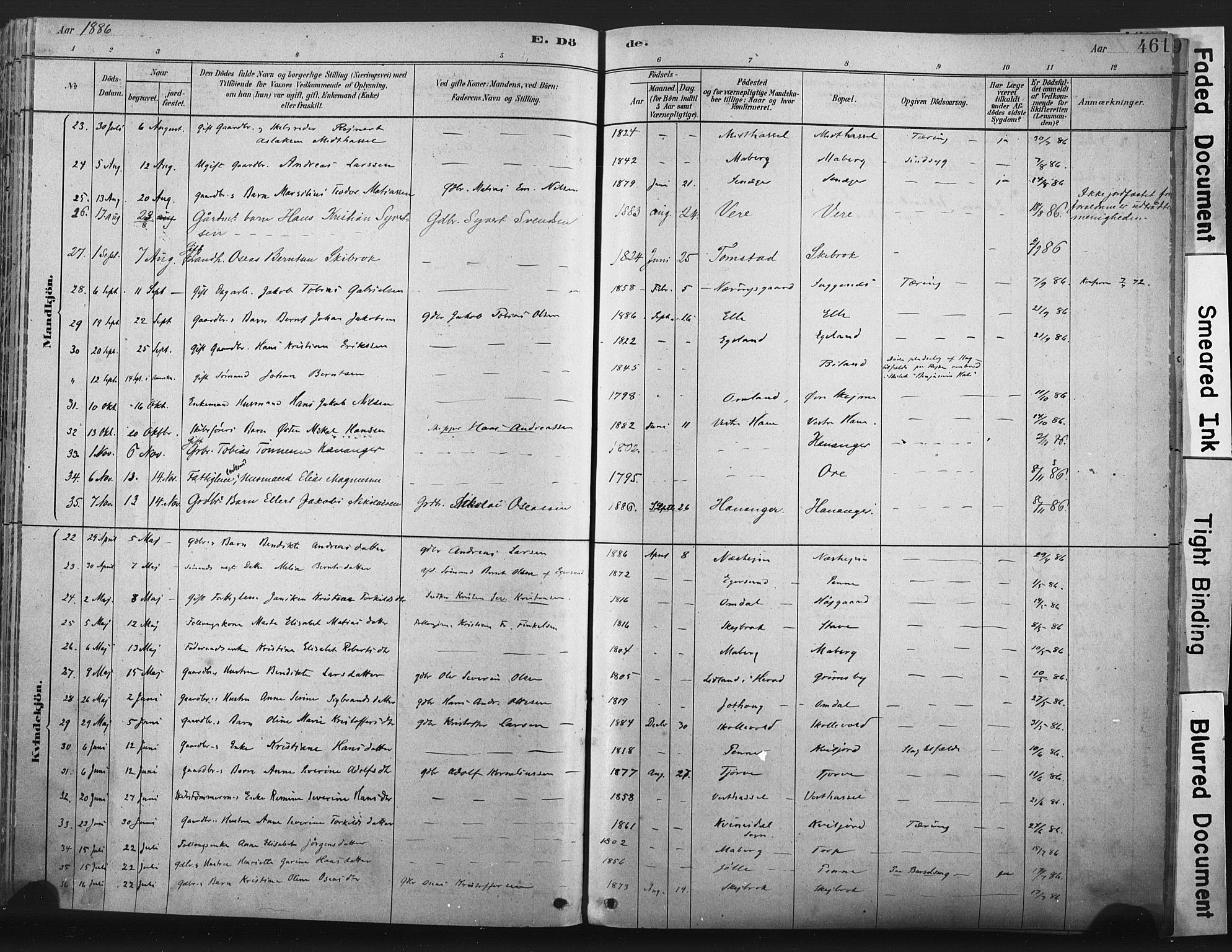 Lista sokneprestkontor, AV/SAK-1111-0027/F/Fa/L0012: Parish register (official) no. A 12, 1879-1903, p. 461